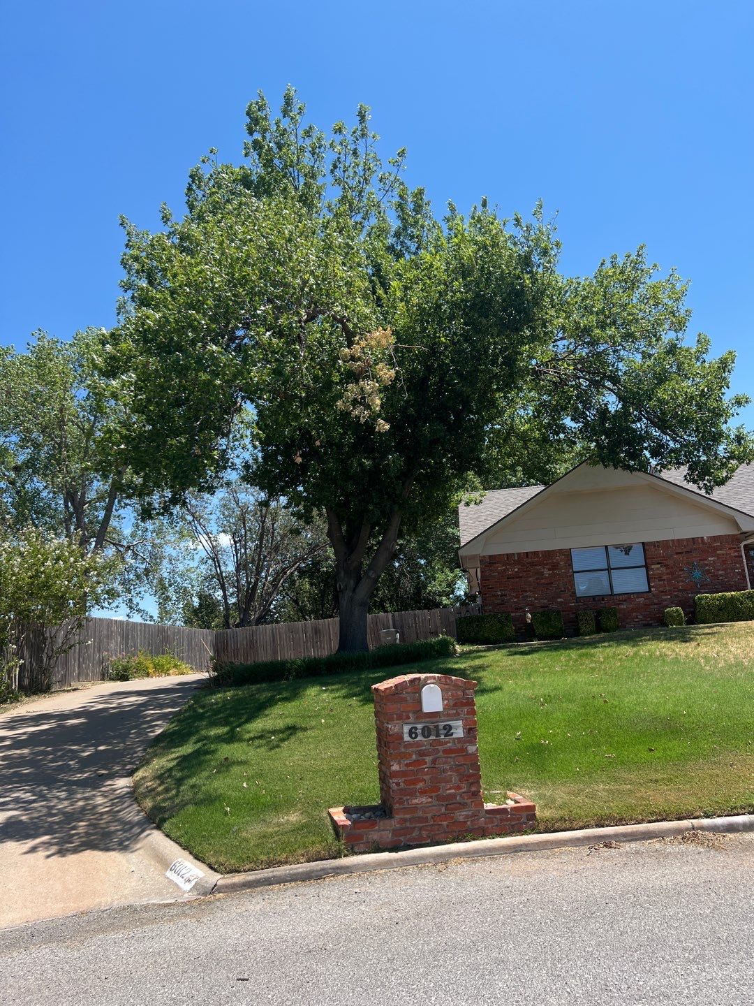 Tree Removals by Clays Services Inc