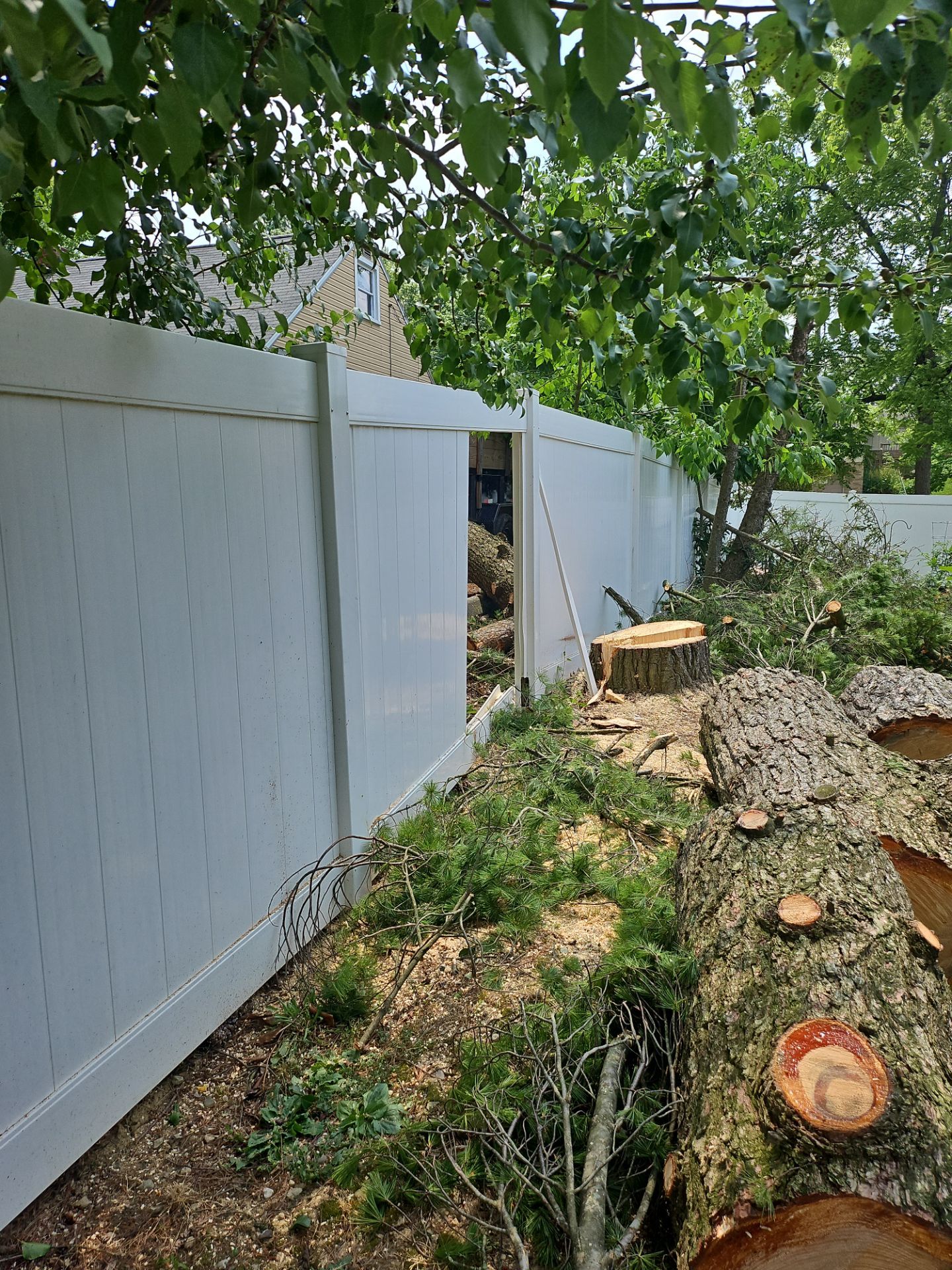 Tree Removal using Tree Removal by Mike Jones & Sons Tree Service LLC 