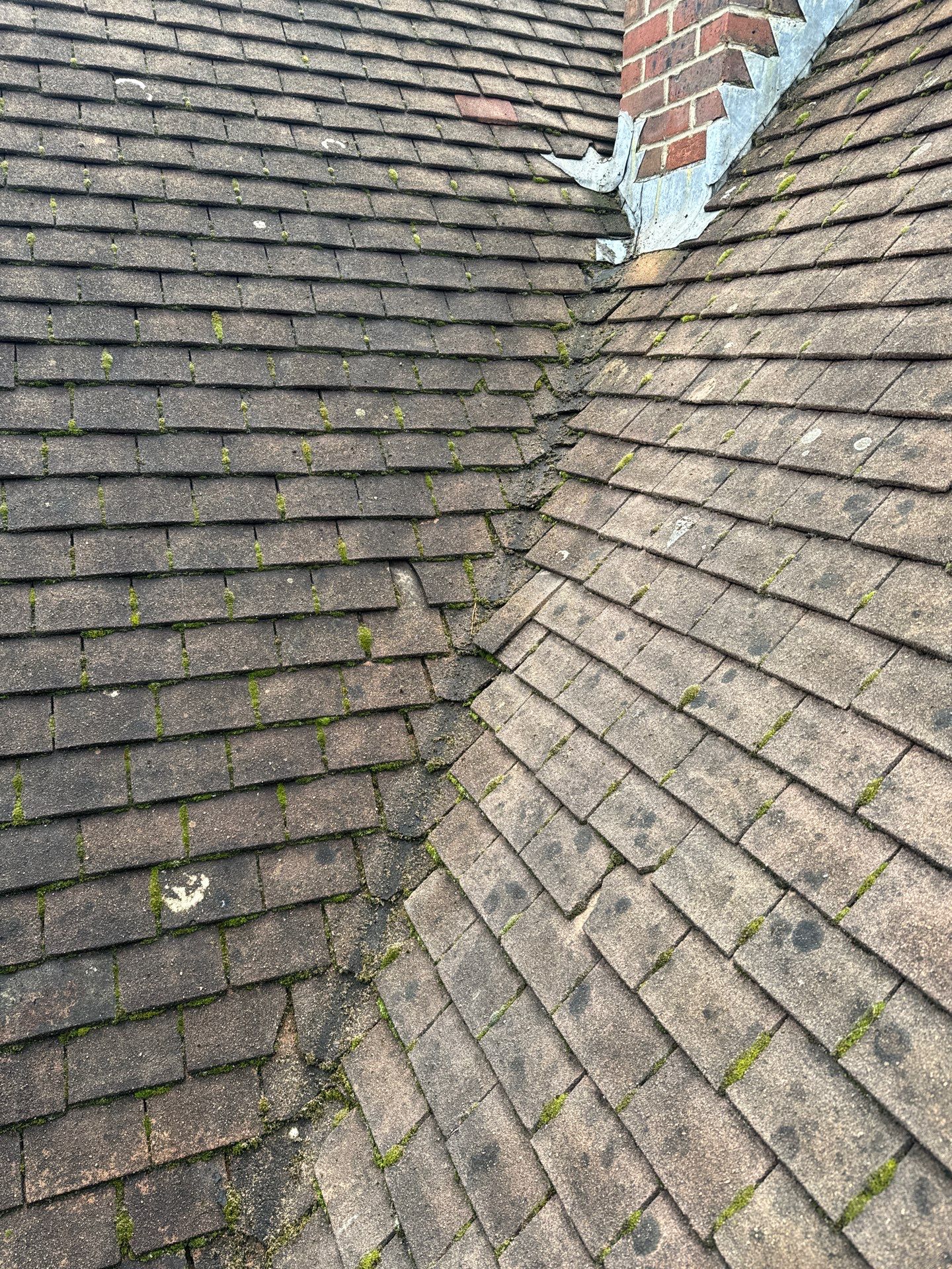 Roof and Patio Cleaning using Honda 15lpm Low Pressure Washing Machine by Ges Exterior Cleaning ltd