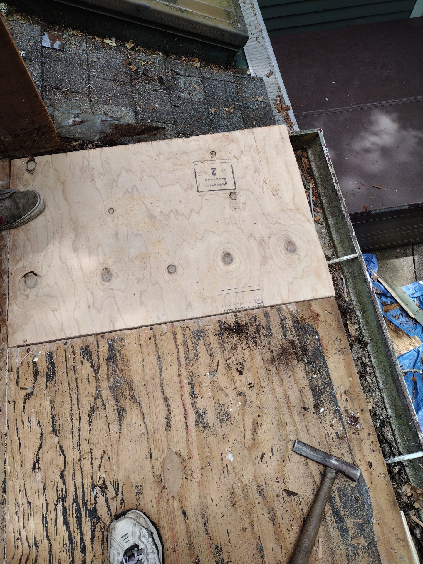 Residential Deck Replacement  using Certainteed Flintlastic SA Cap by Orezona Building & Roofing Company, Inc.