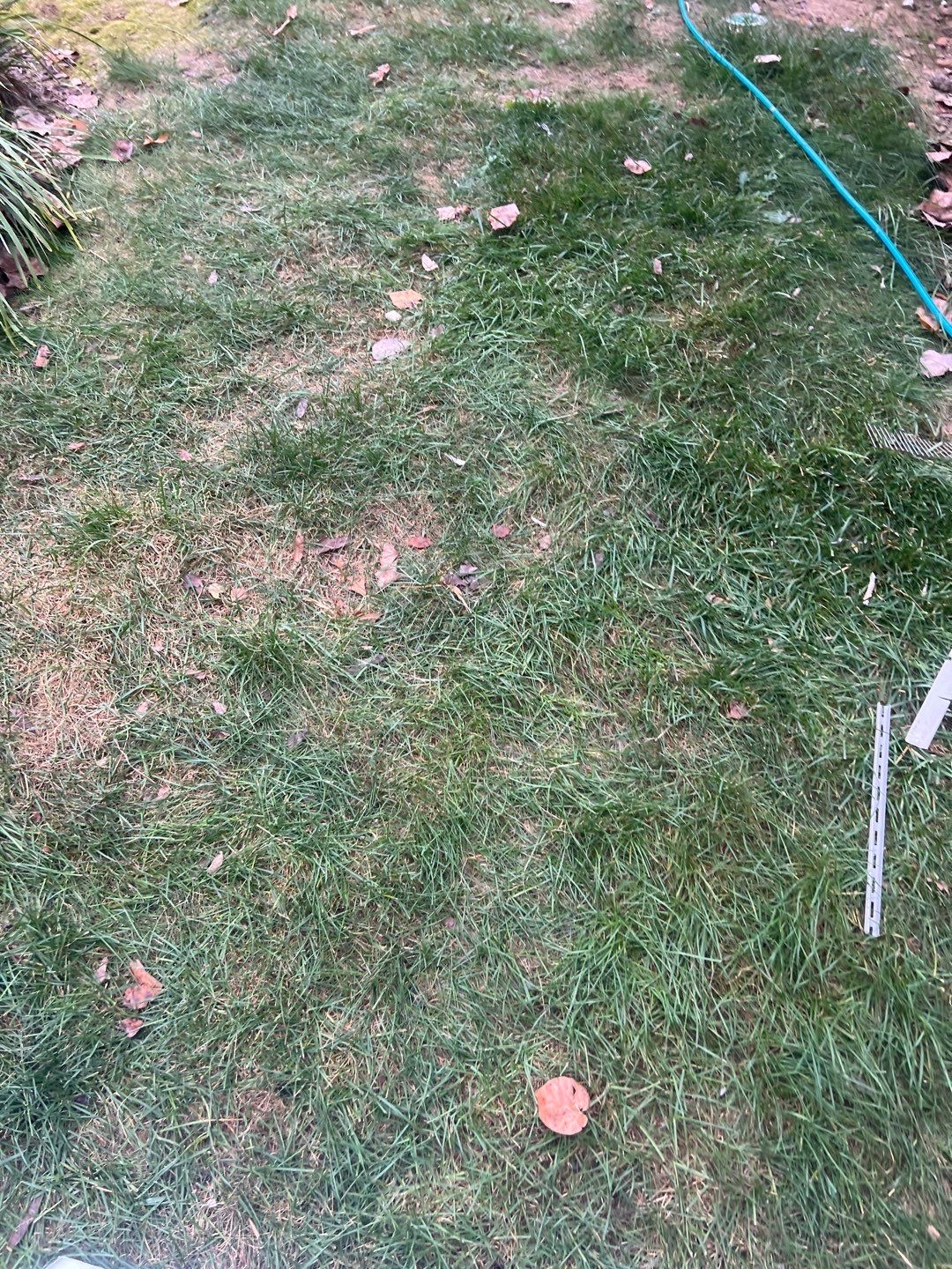 Arlington: Residential Roof Replacement with CertainTeed Landmark Pro in Max Def Georgetown Gray by RM Banning, Inc.