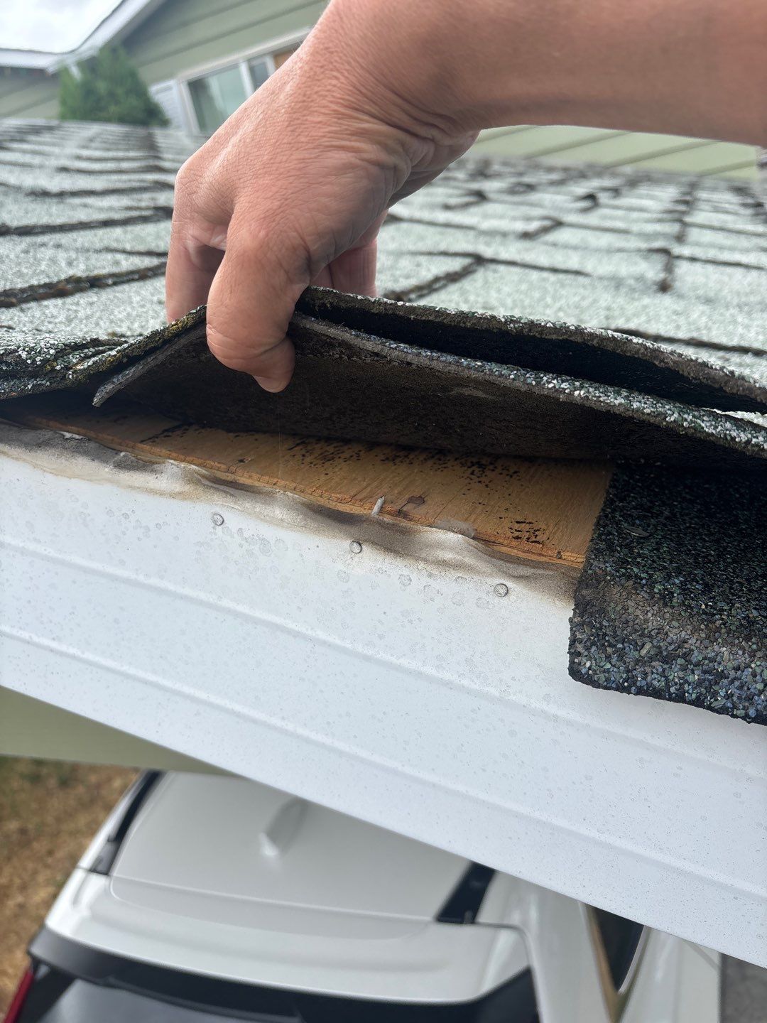 Residential Reroof Shingle - Birchwood by Top Notch Roofing Inc