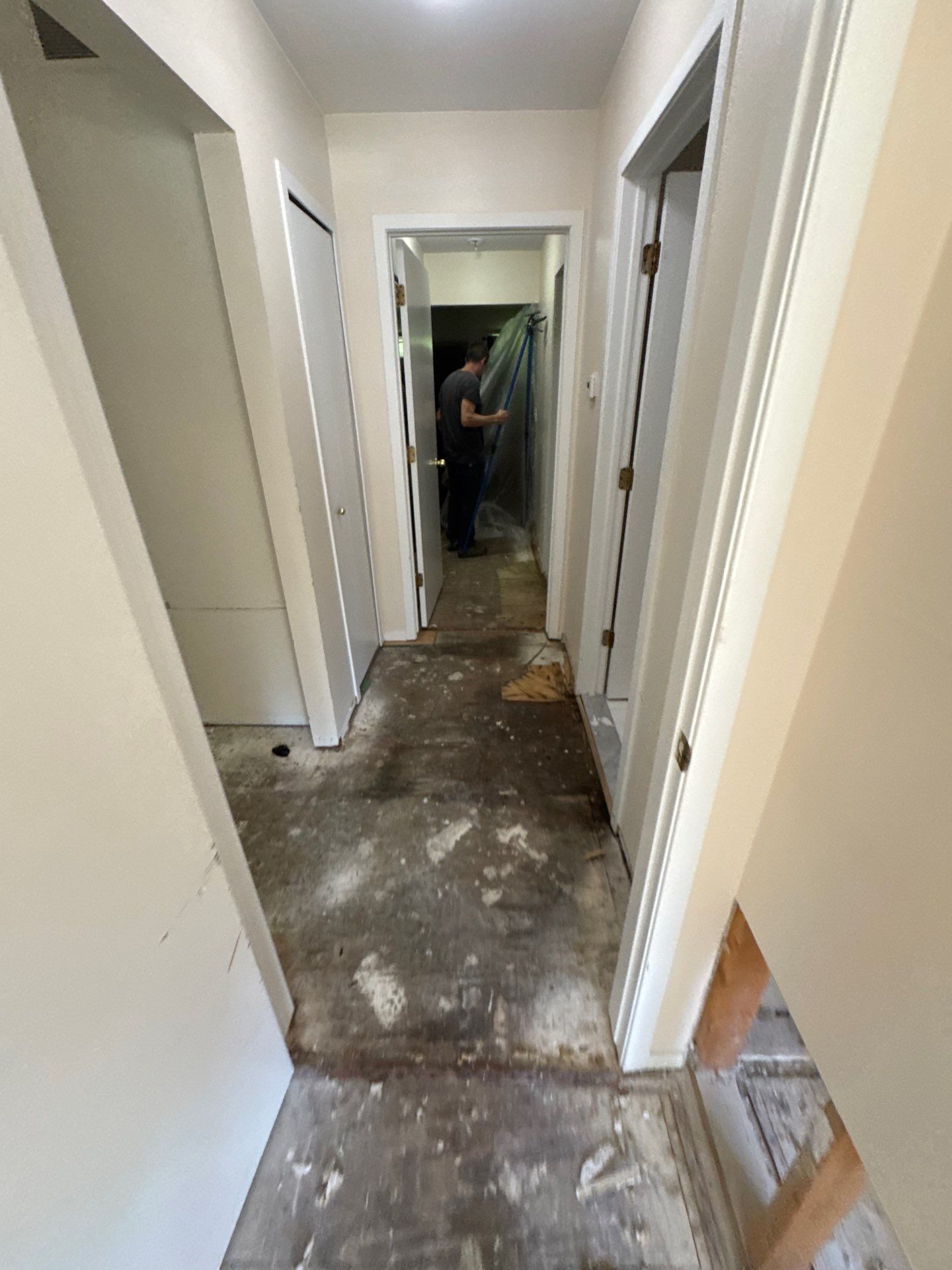 Project in Commerce Twp by EzDry Water Mitigation & Property Restoration