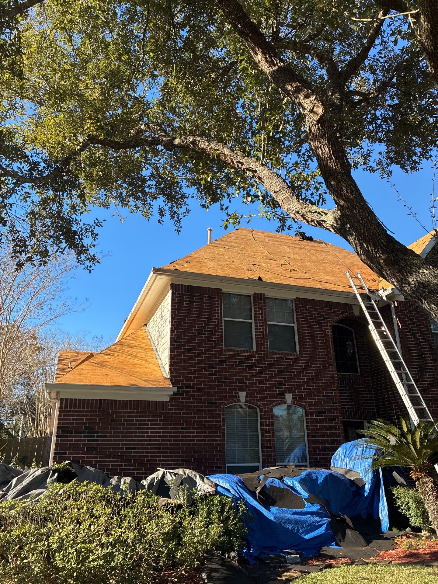 Roof Replacement in The Forest of Friendswood, Friendswood TX by Roof Repair Company