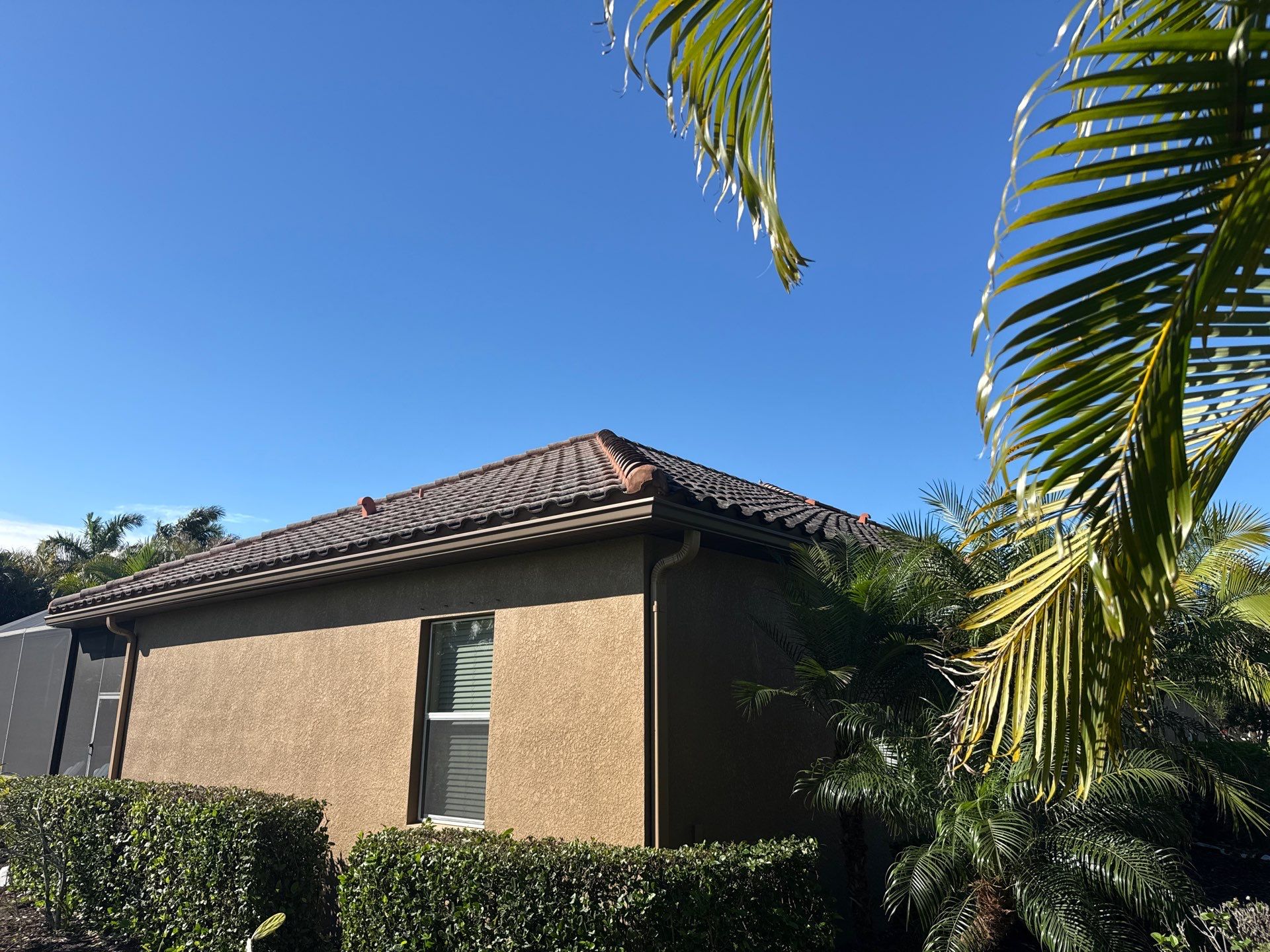 This project focused on a full gutter clean-out to restore proper water flow and prevent overflow issues.  Our scope of work included: 	•	Removing heavy leaf and pollen buildup from the gutter system 	•	Clearing out clogged sections along the rear gutters near the pool cage, where debris tends to accumulate more heavily 	•	Inspecting and cleaning the front gutter guards, which had several blocked areas restricting water flow 	•	Ensuring all downspouts and channels were flowing properly after service  Even with gutter guards installed, debris like pollen, shingle grit, and fine organic matter can still build up over time—especially in Florida’s environment. Regular maintenance helps prevent water damage, overflow, and staining on exterior surfaces.  Another thorough job completed by Sunshine AquaWash® – keeping homes protected from top to bottom. by Sunshine AquaWash