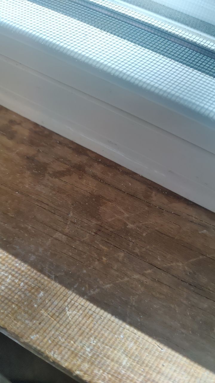 Water Damage by Accountable Home Services