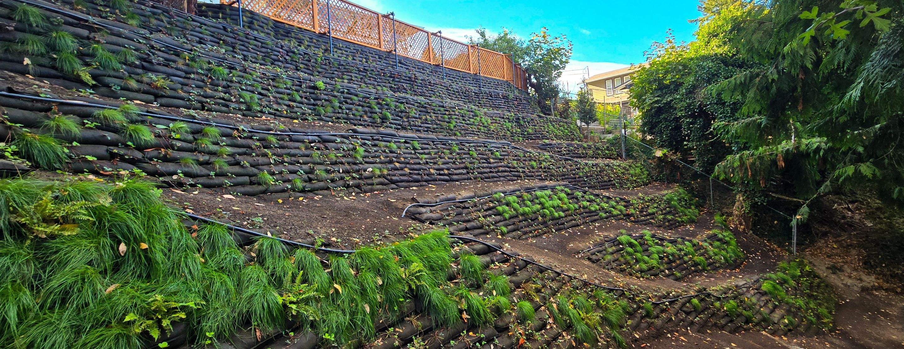 Georgia Park Terrace — Living Slope Transformation by Habanero Landscape Solutions