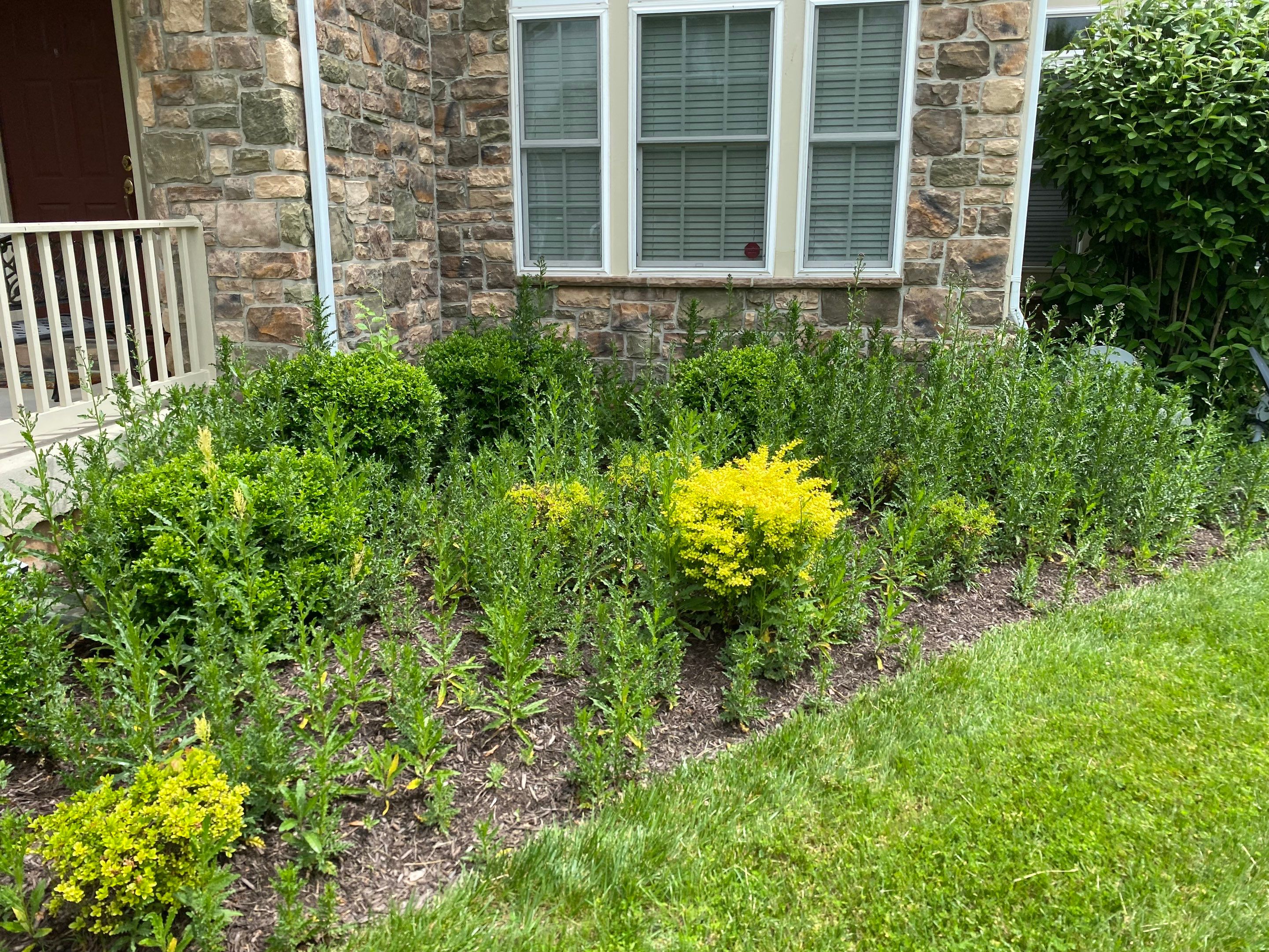 Landscape Cleanup & Mulch  by The Smet Companies, LLC