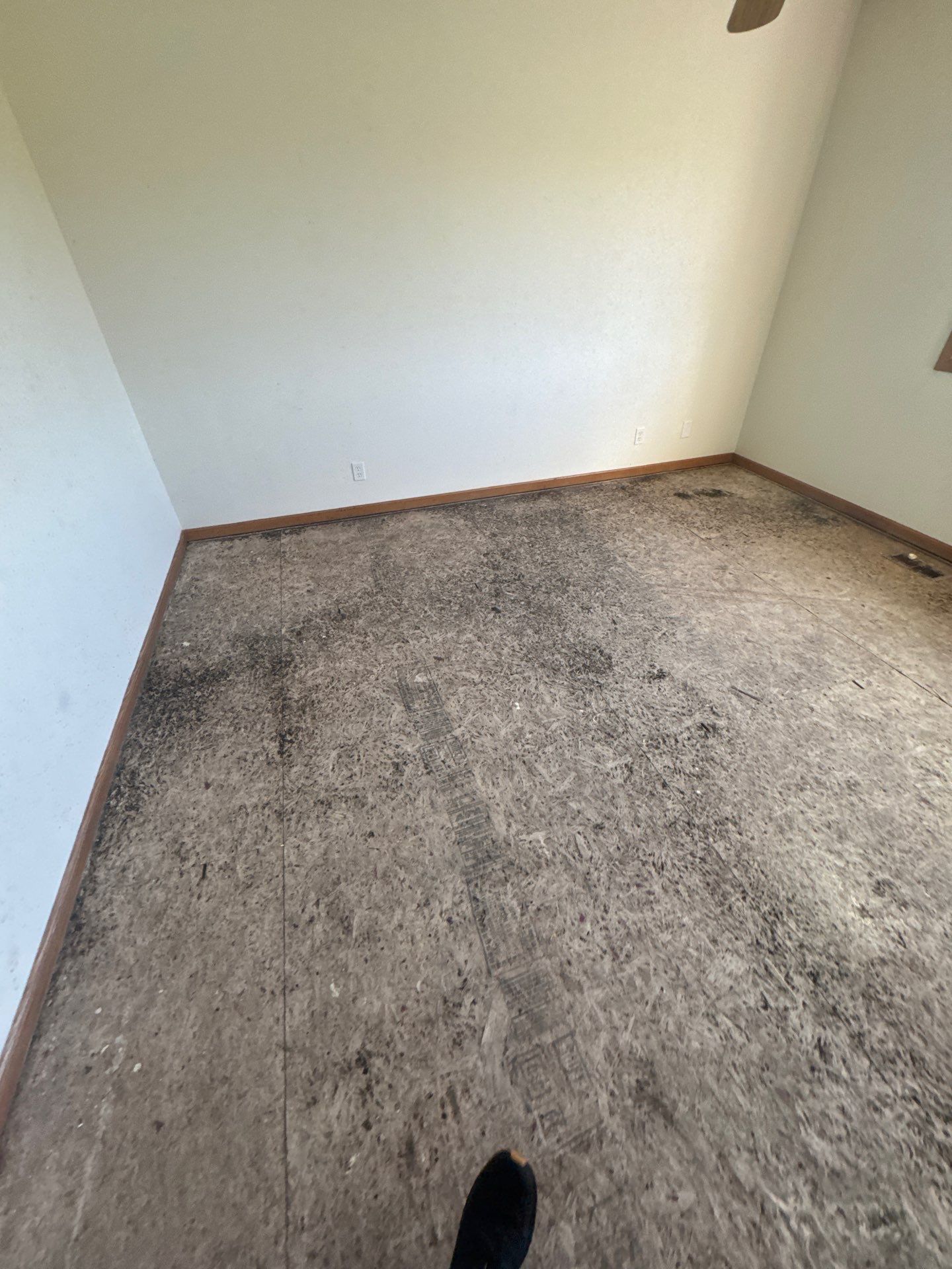 Project in Richmond by EzDry Water Mitigation & Property Restoration