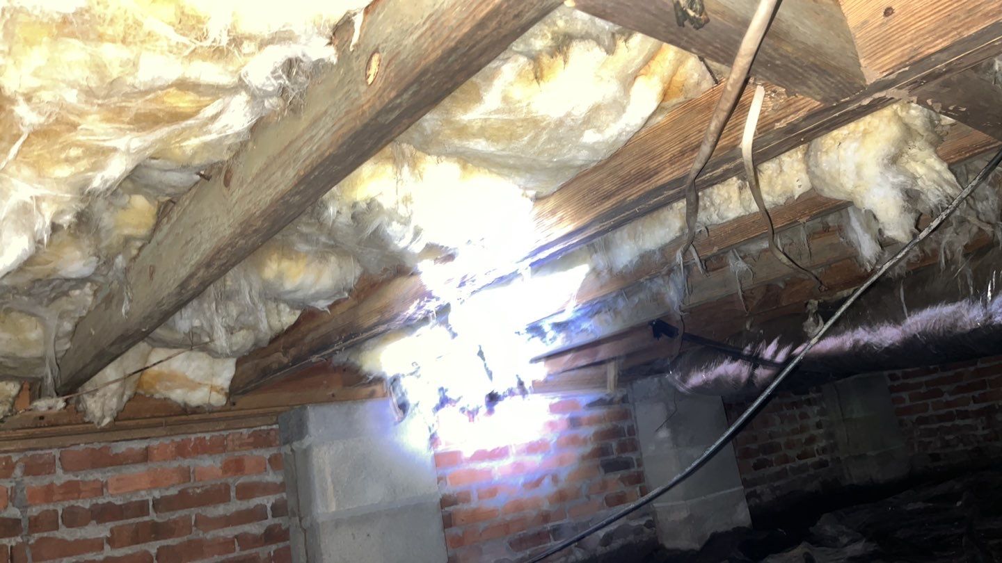 Impact Choice Encapsulation using YCS Pro Cleaner by Impact Crawlspace
