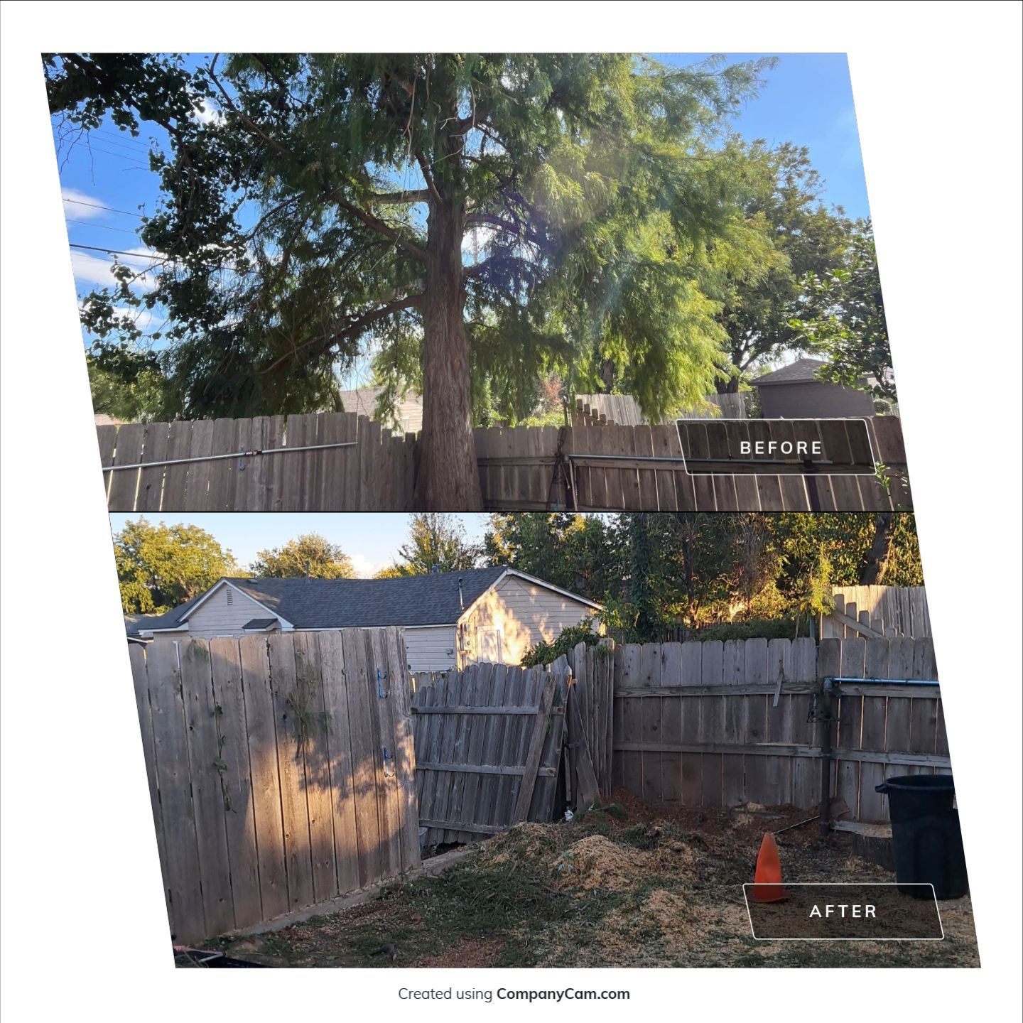 Tree Removal using Chainsaws by Clays Services Inc
