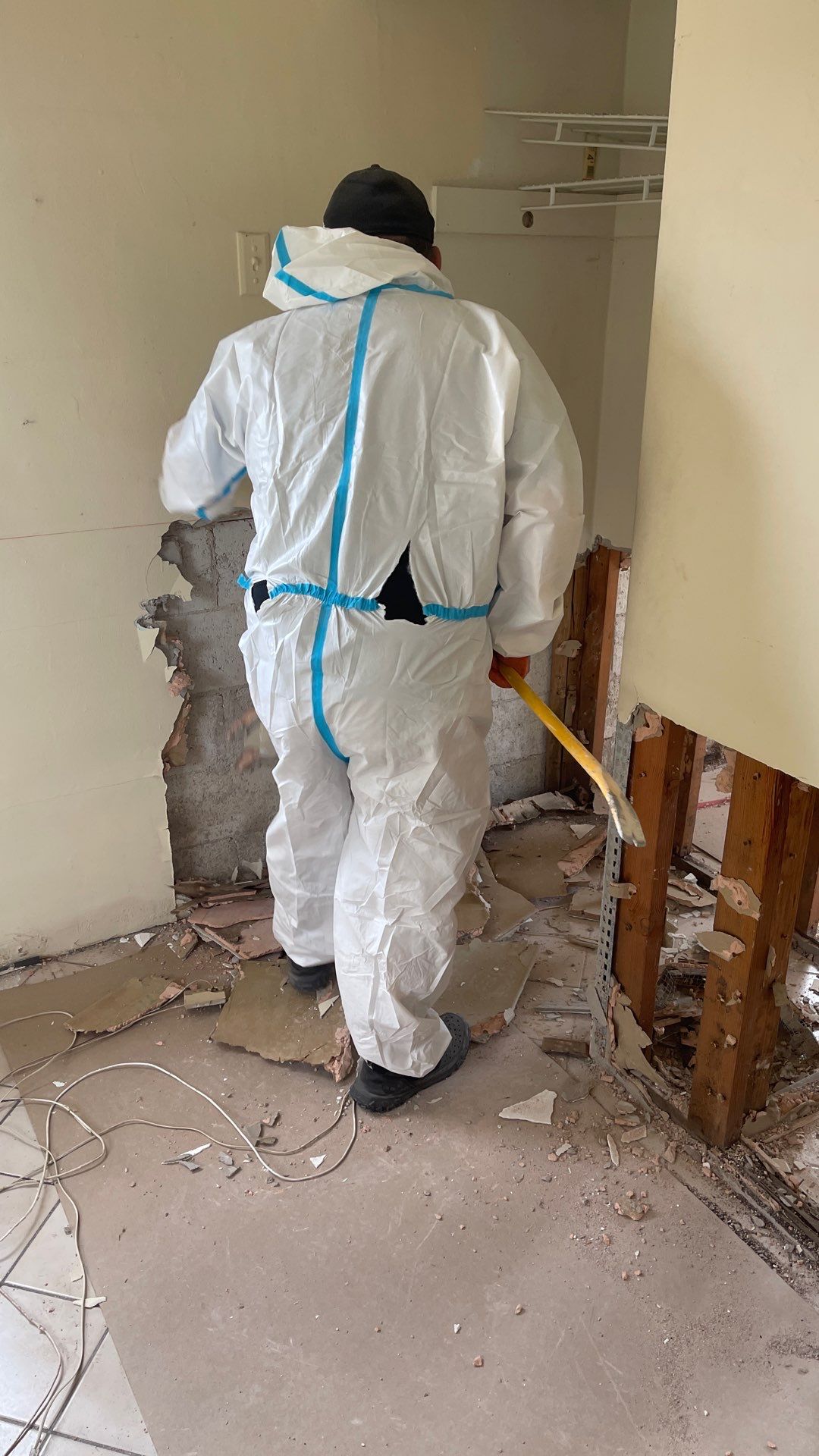 Mold Remediation  by THE RAPID TEAM