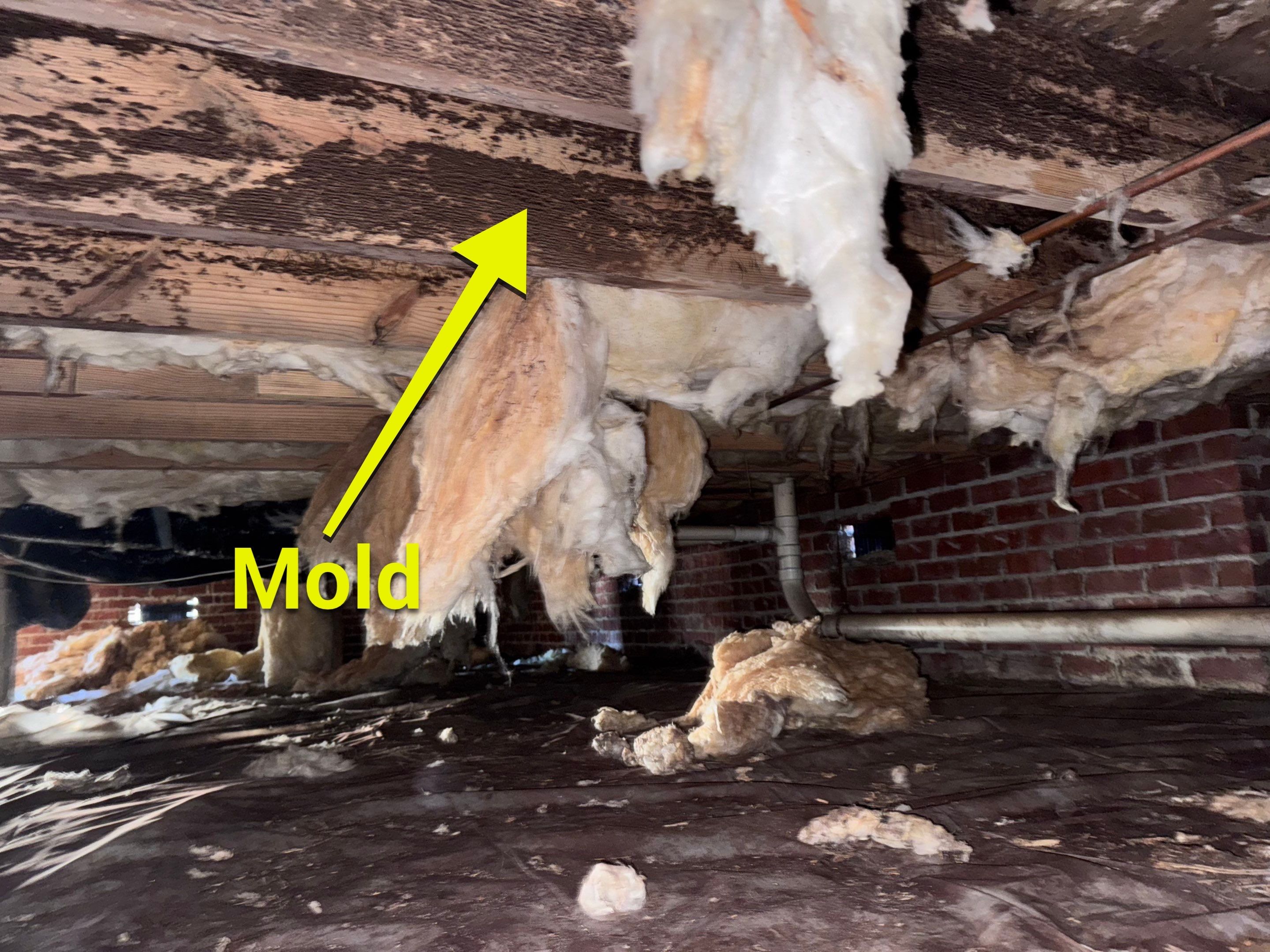 Structural Repairs inludiing sub-floor removal, new floor joists installed, girder replacmeent and dropped girder installed. by Impact Crawlspace