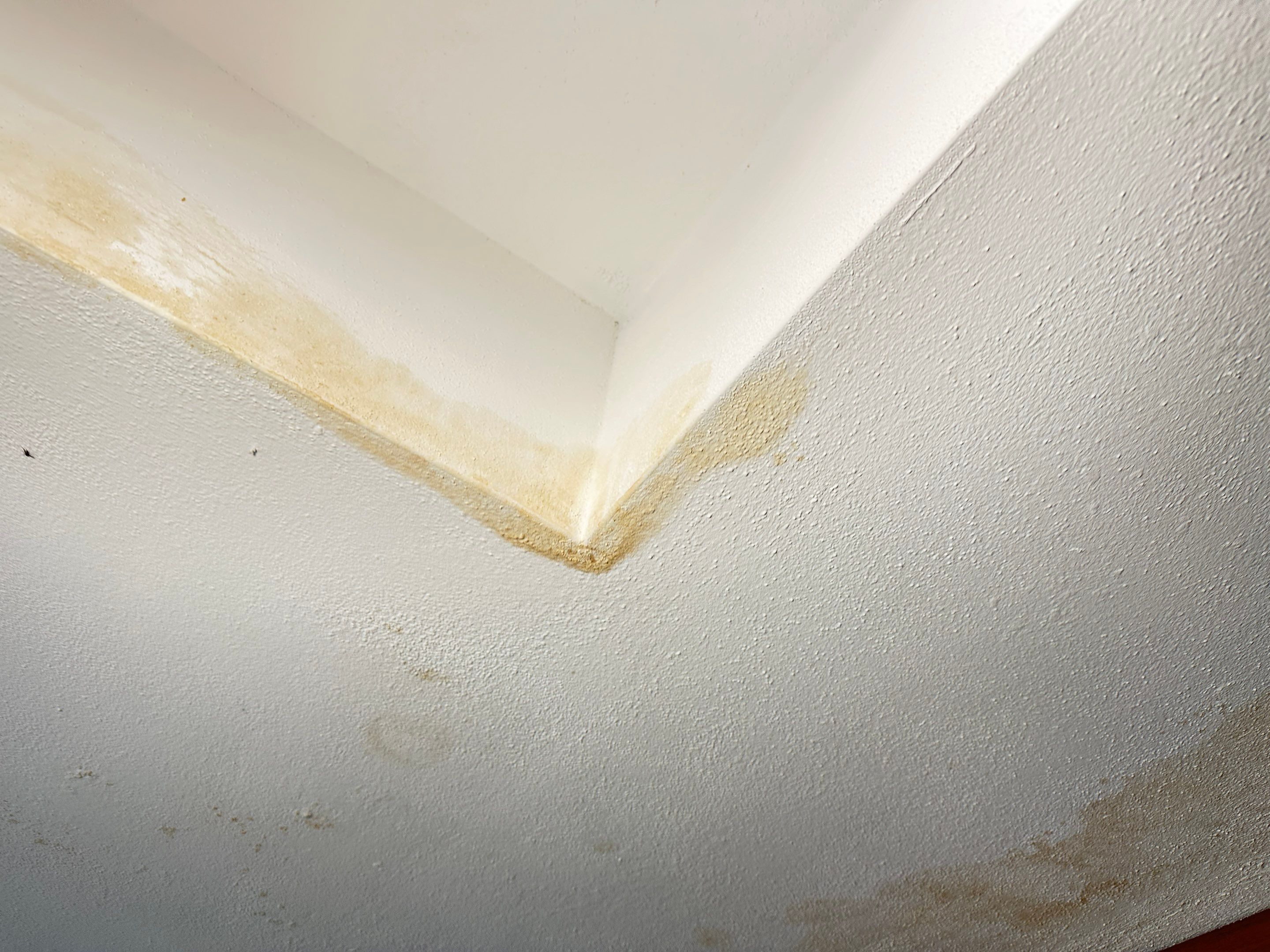 Water Damage Claim in St. Petersburg by FLAPA & KeyStone