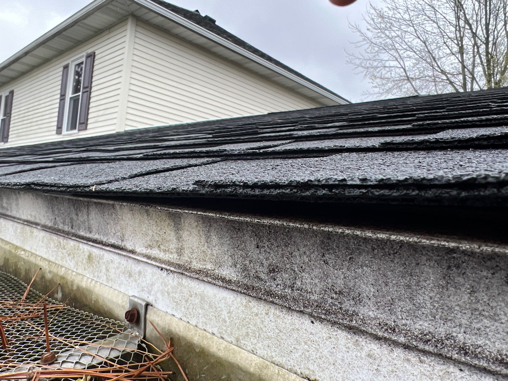 Wind-Resistant Metal Shingle Shake Roof Installation – Lima, Ohio by 4Ever Metal Roofing