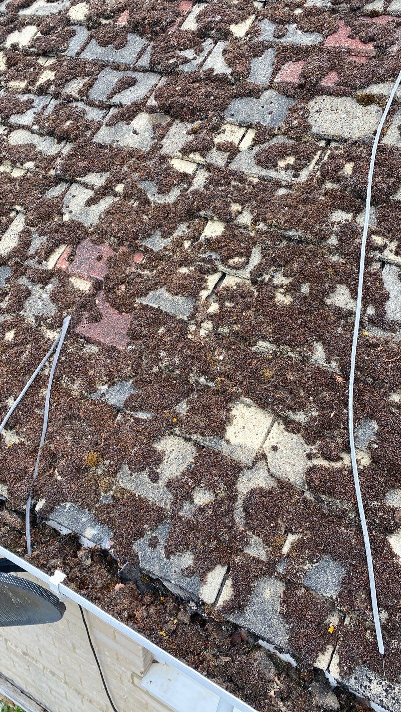 Roof Clean - Moss Removal using Honda 15lpm Low Pressure Washing Machine by Ges Exterior Cleaning ltd