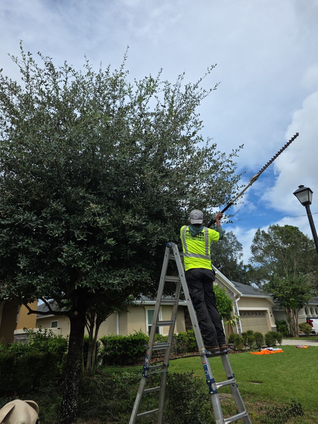 Property Clean Up | Residential by ProGreen Services