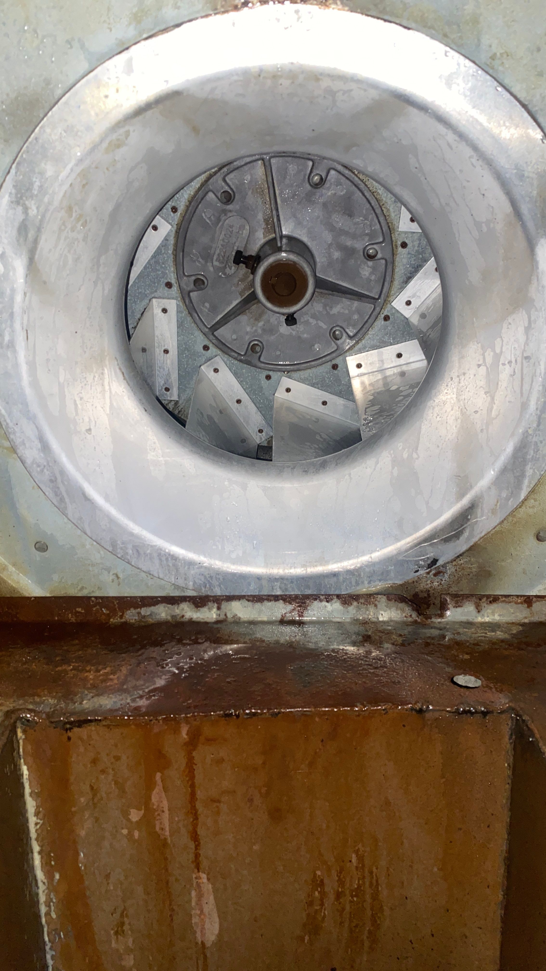 wrfererg by Crenshaw Hoods