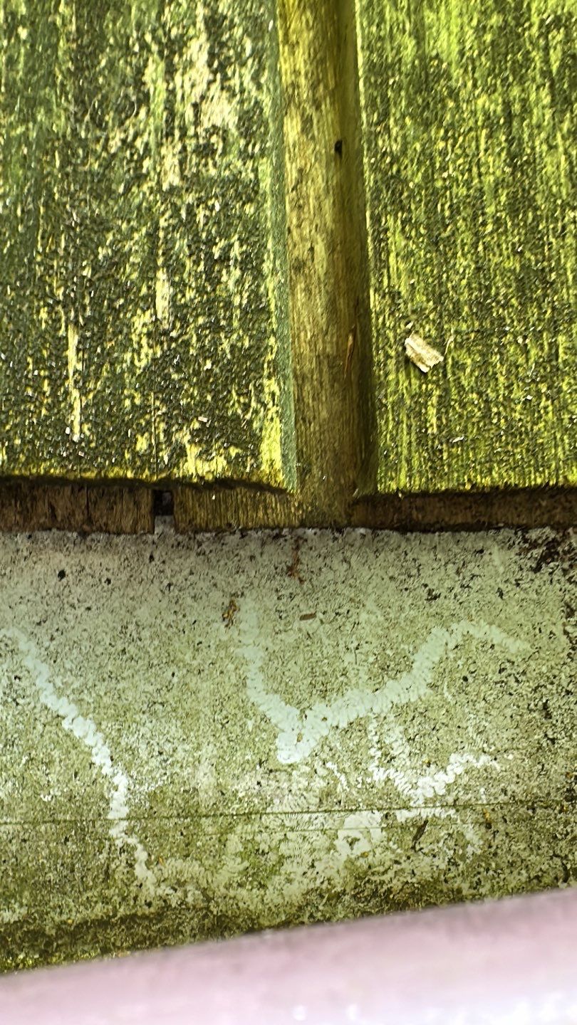 Fairfax Station: CertainTeed Landmark Pro Designer Shingles in Max Def Resawn Shake by RM Banning, Inc.