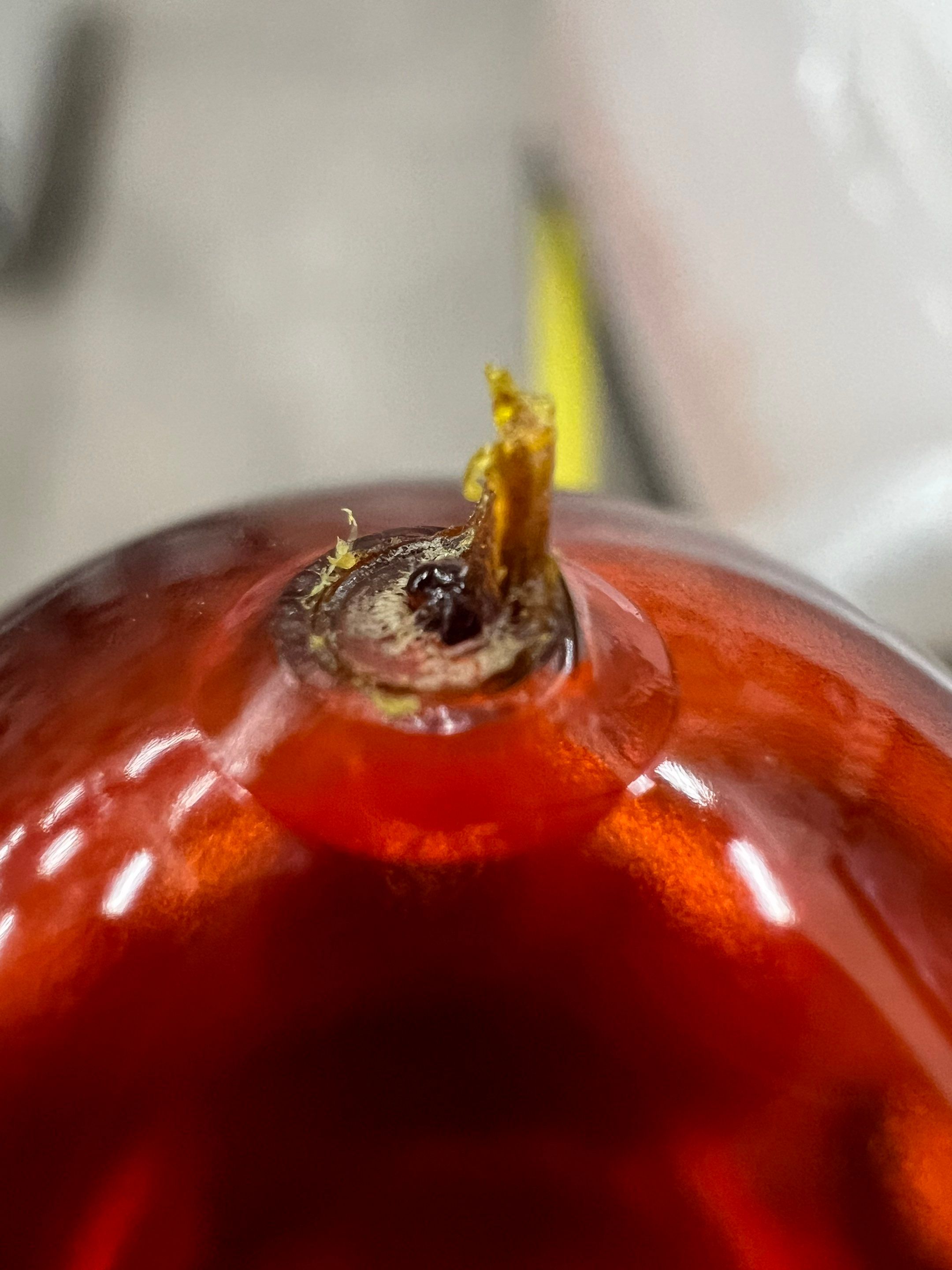 Phoenix AHC FlexBlow by Altium Packaging
