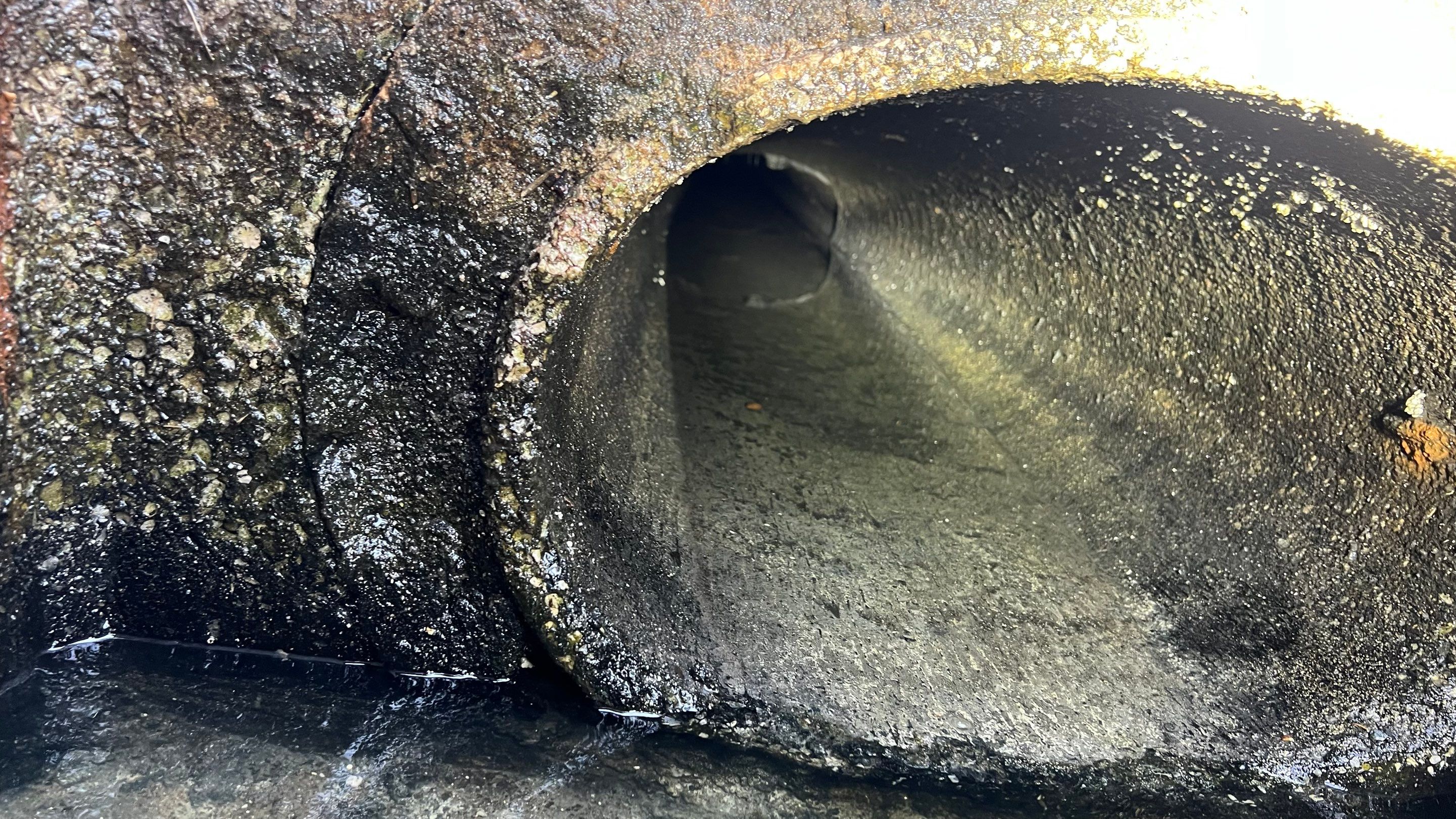 Stromwater System Maintenance at Bill Smith Appliances / Critter Cafe Marco Island Catch Basin by Don Mar, Inc. Storm Water Solutions