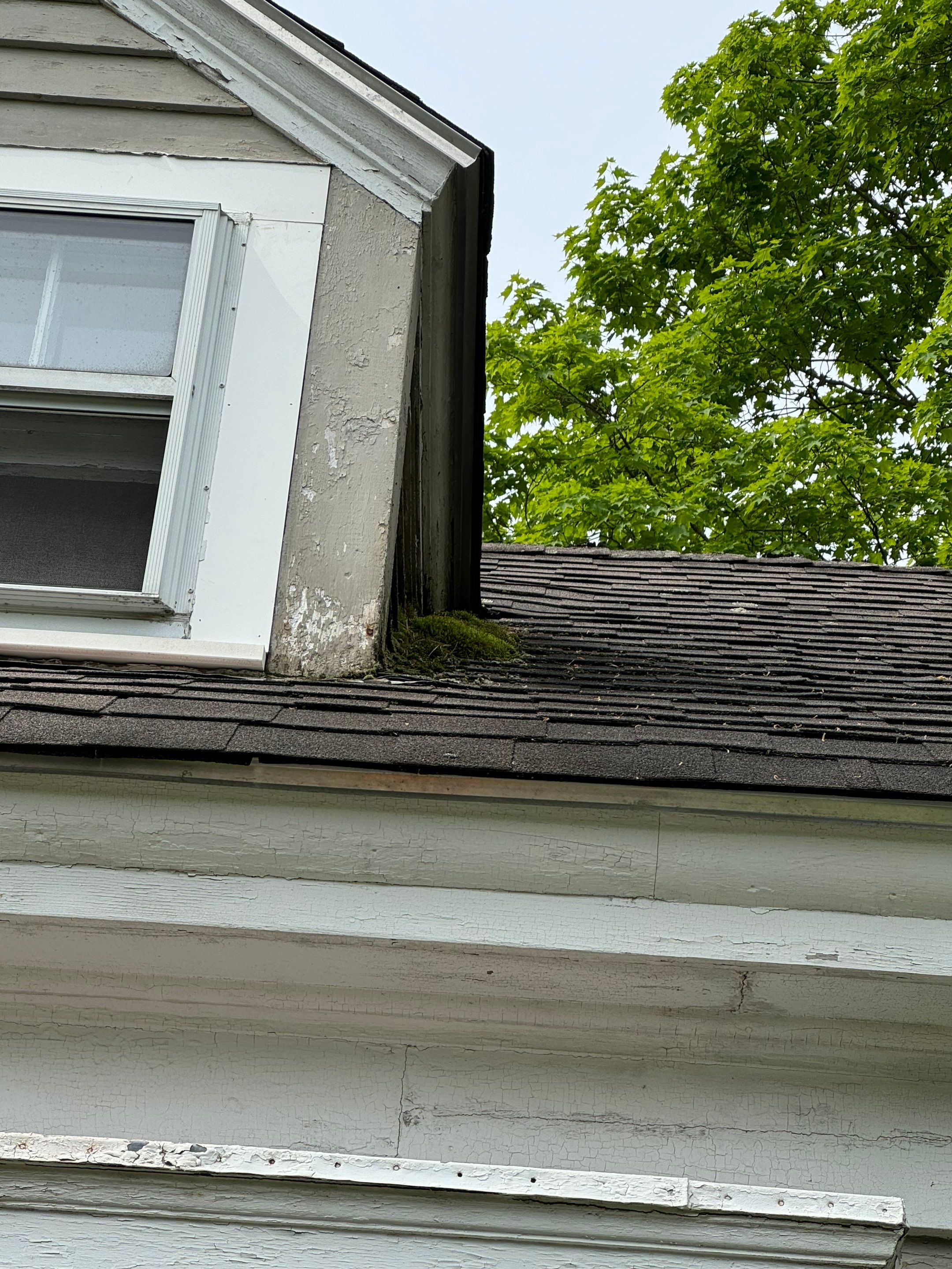 Complete Roof Replacement & Stunning Front Dormer Overhaul! by Sensible Home Solutions
