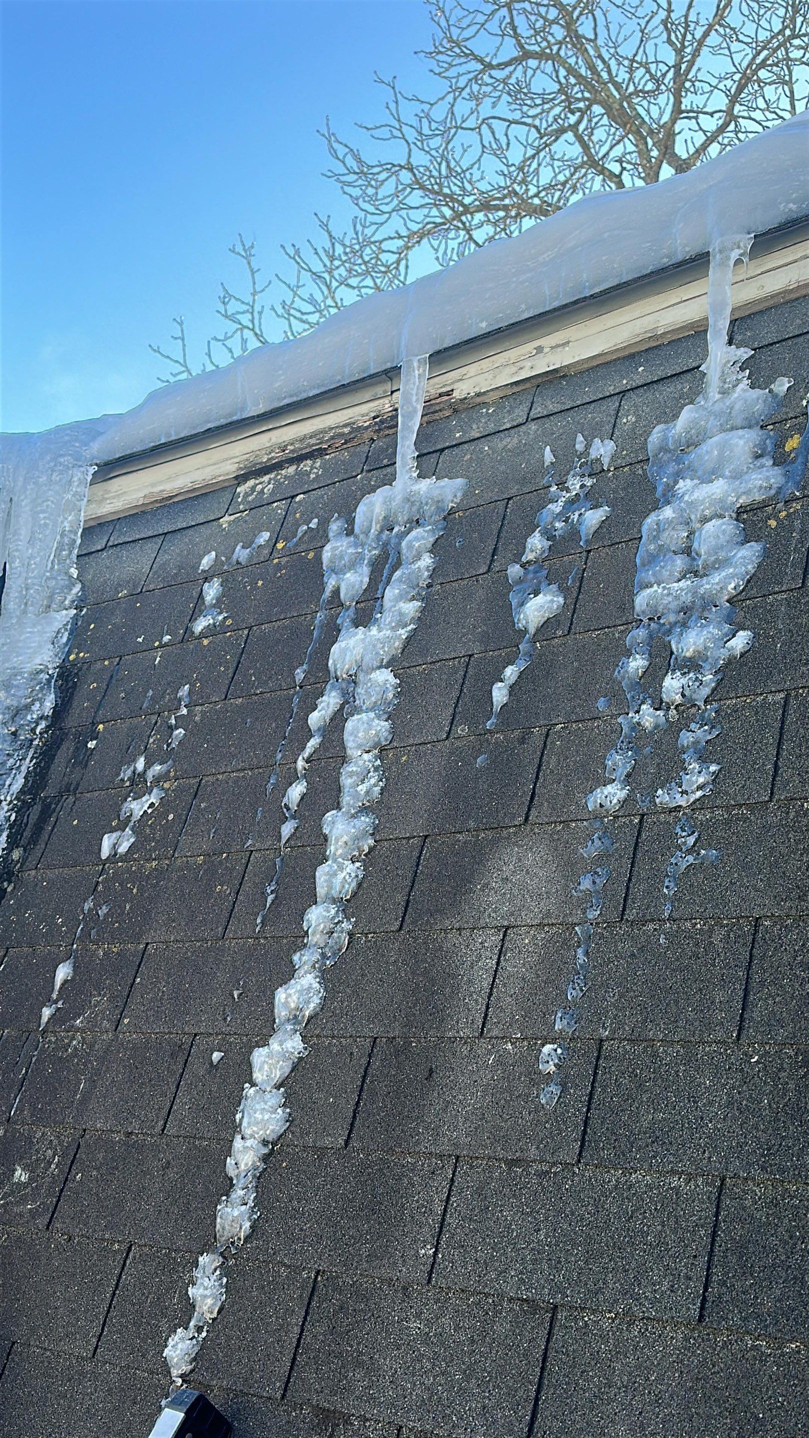 Ice Dam Removal in Haverhill, MA by Mighty Dog Roofing of Greater Middlesex County