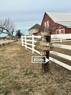 Rustic Grace Apiary in Van Alstyne, TX