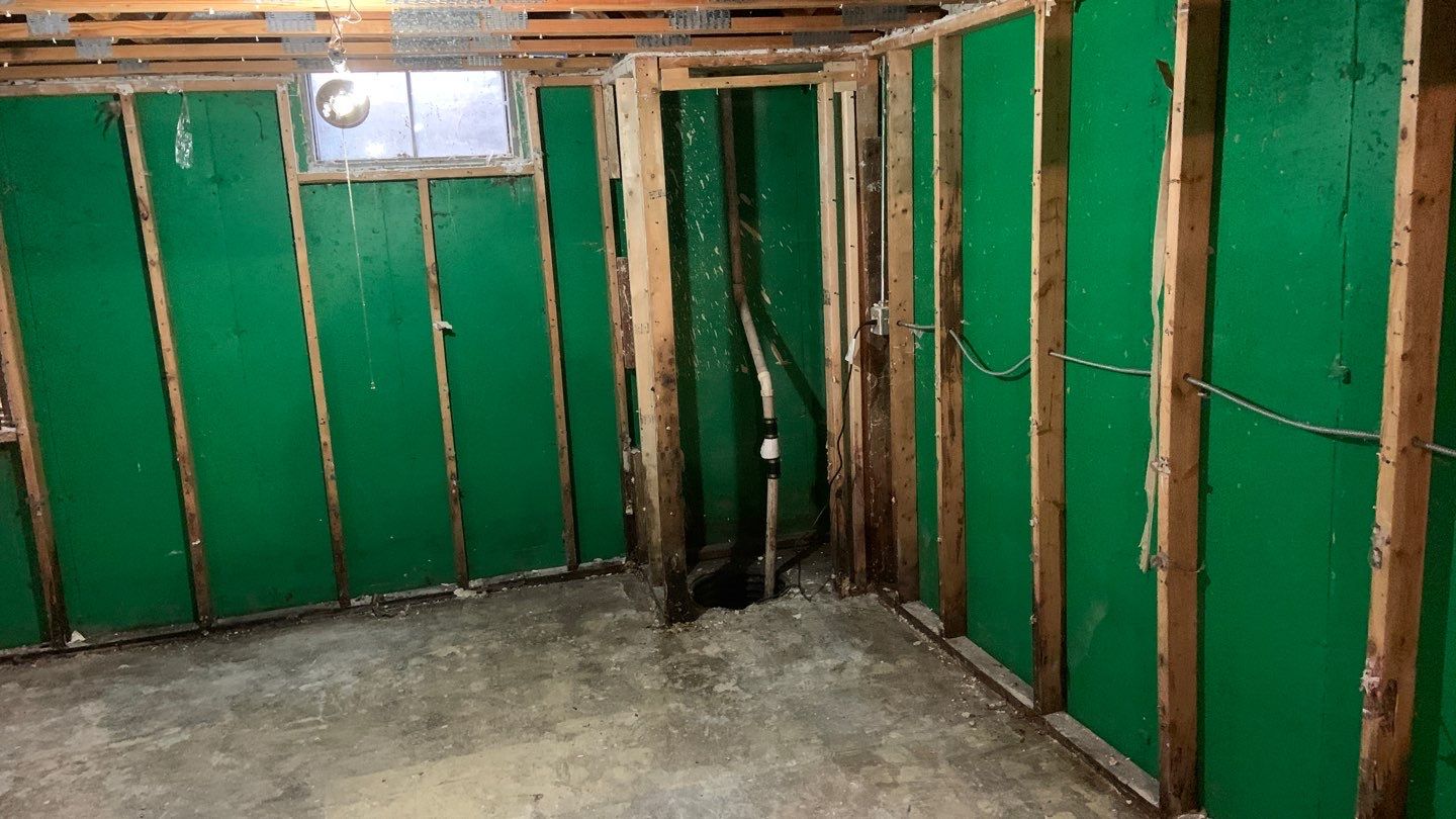 Grossly Contaminated Basement Mold by Chicagoland Water Medics