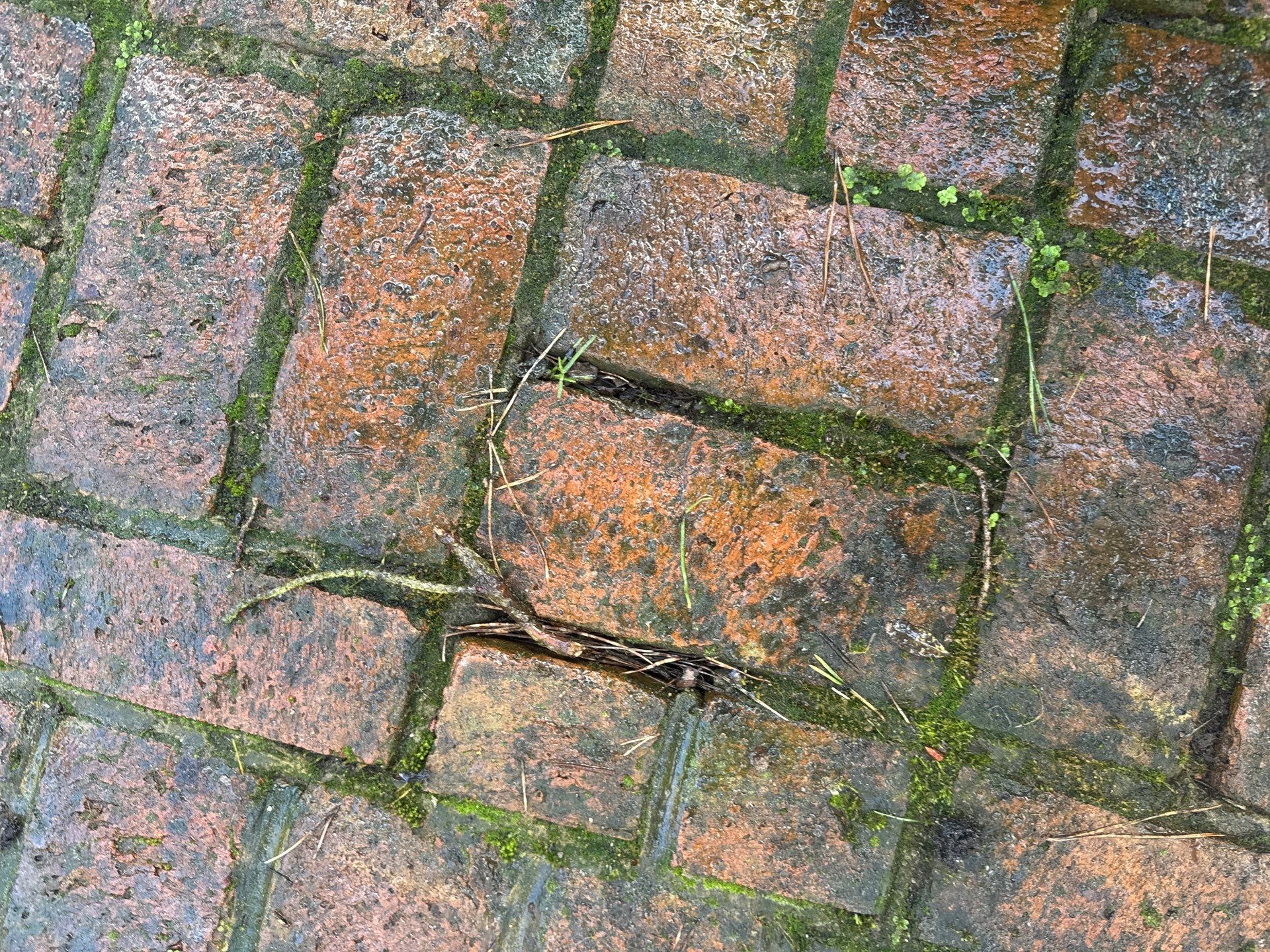 Roof - Driveway - Patio Clean using 18inch Whirlaway FSC by Ges Exterior Cleaning ltd