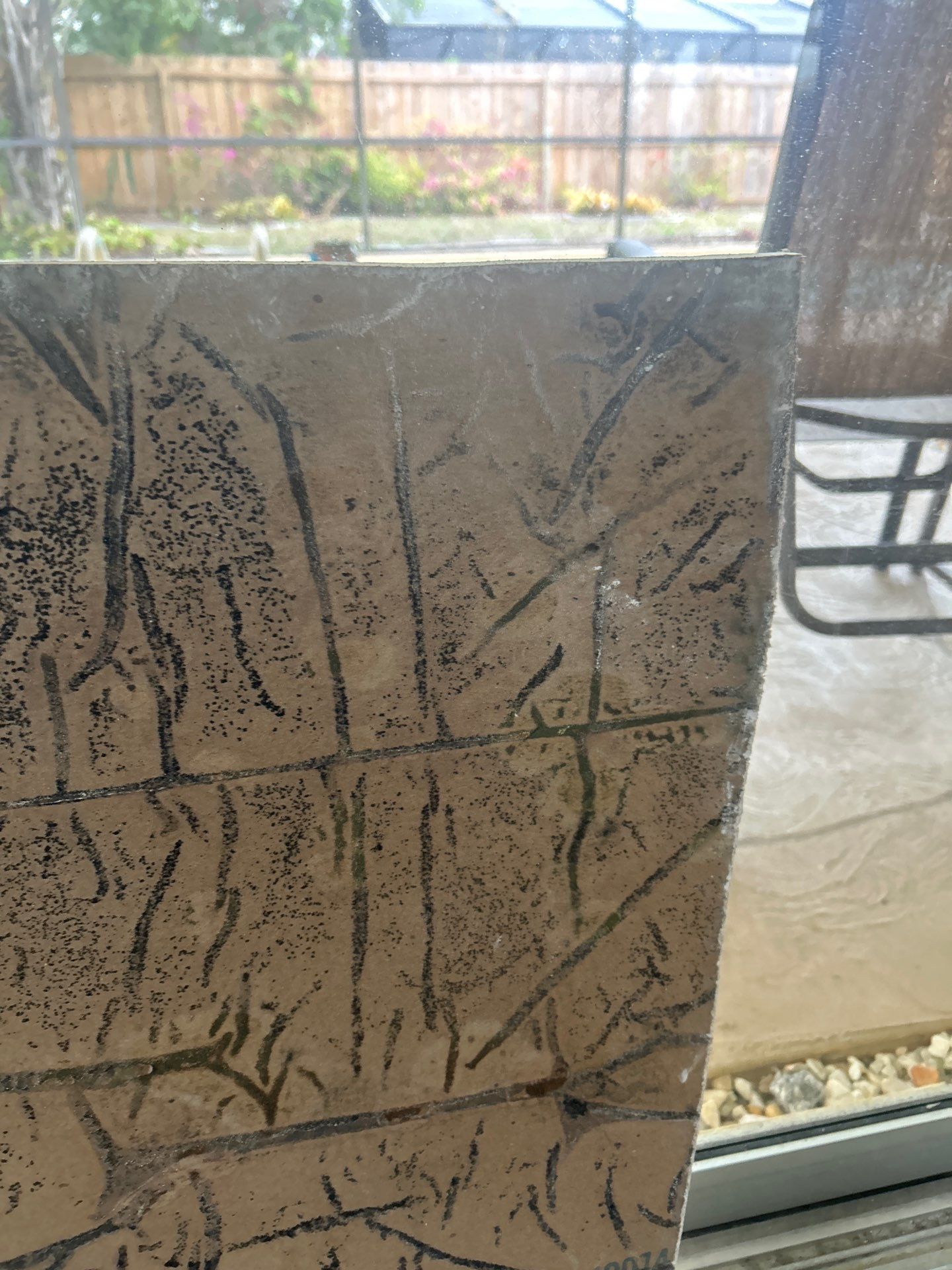 Mold Remediation In Sarasota by Ampm Restoration Services