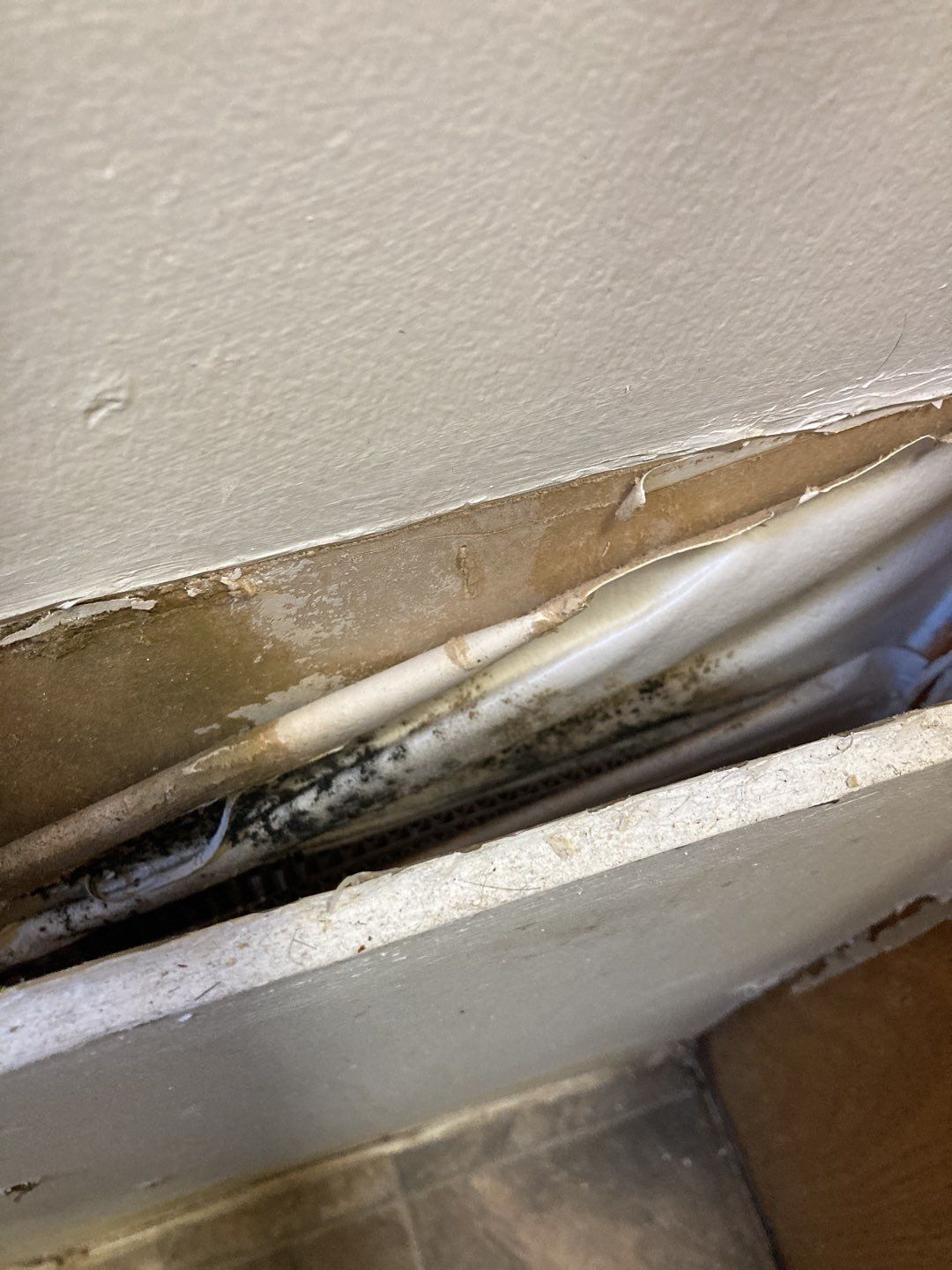 Water Damage in Bathroom by Accountable Home Services