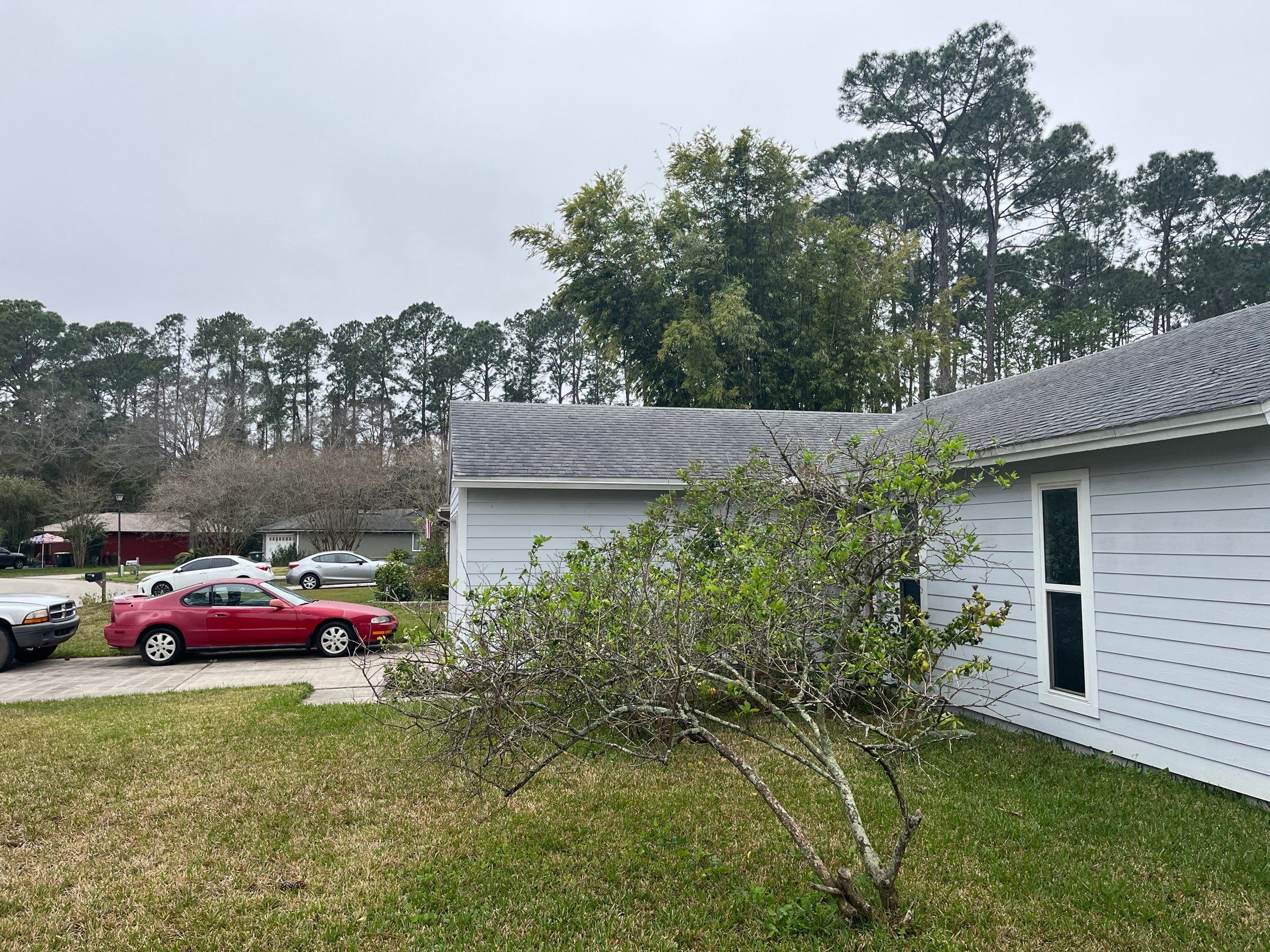 Shingle -> Metal by Prime Roofing