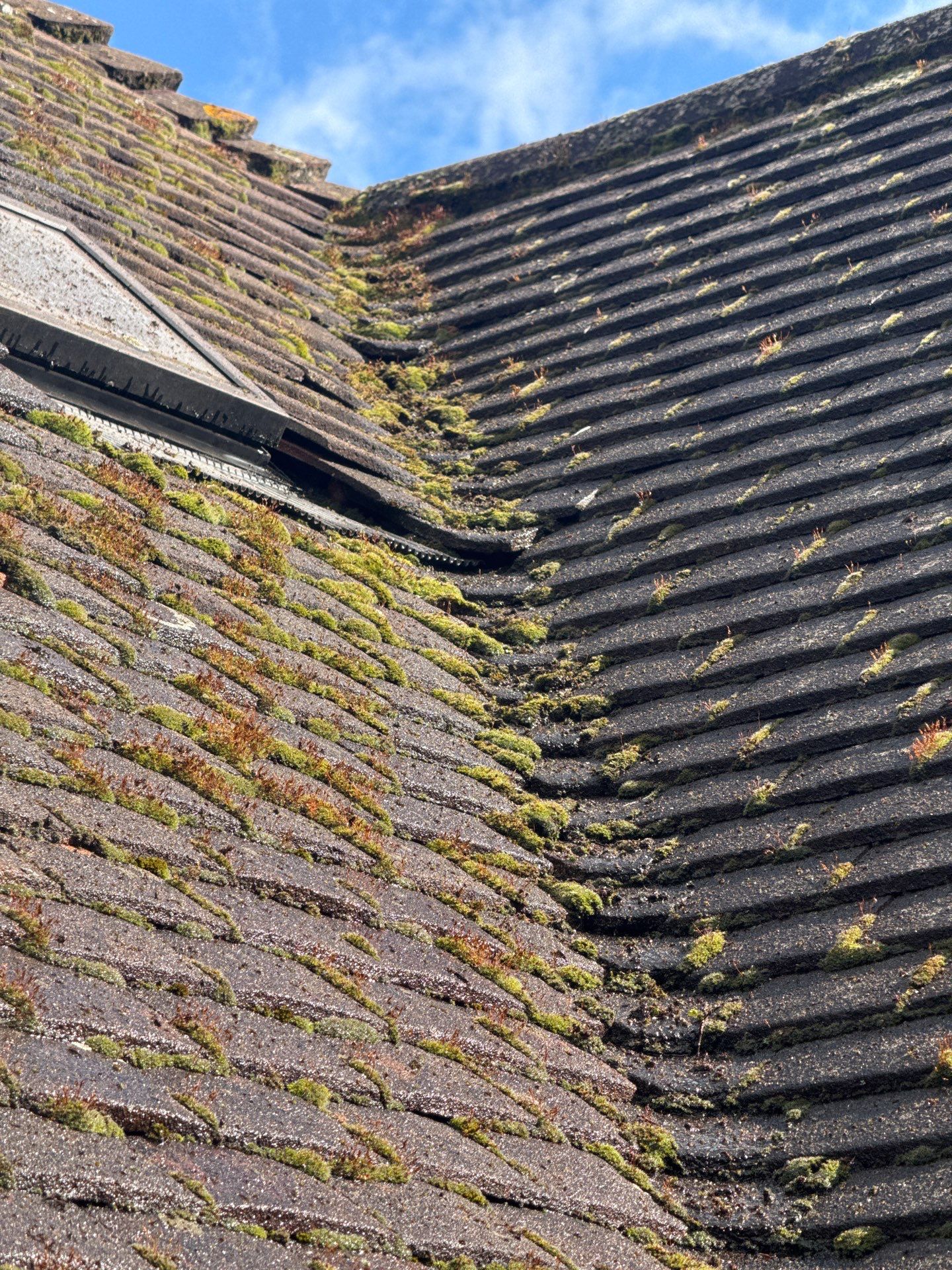 Exterior Clean - Roof - Patio - Driveway using Honda 15lpm Low Pressure Washing Machine by Ges Exterior Cleaning ltd
