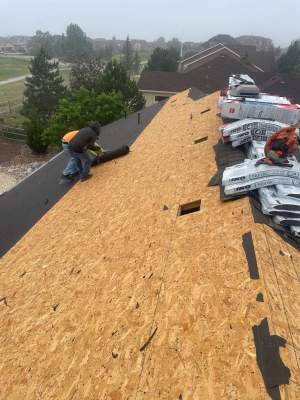 Project in Peyton