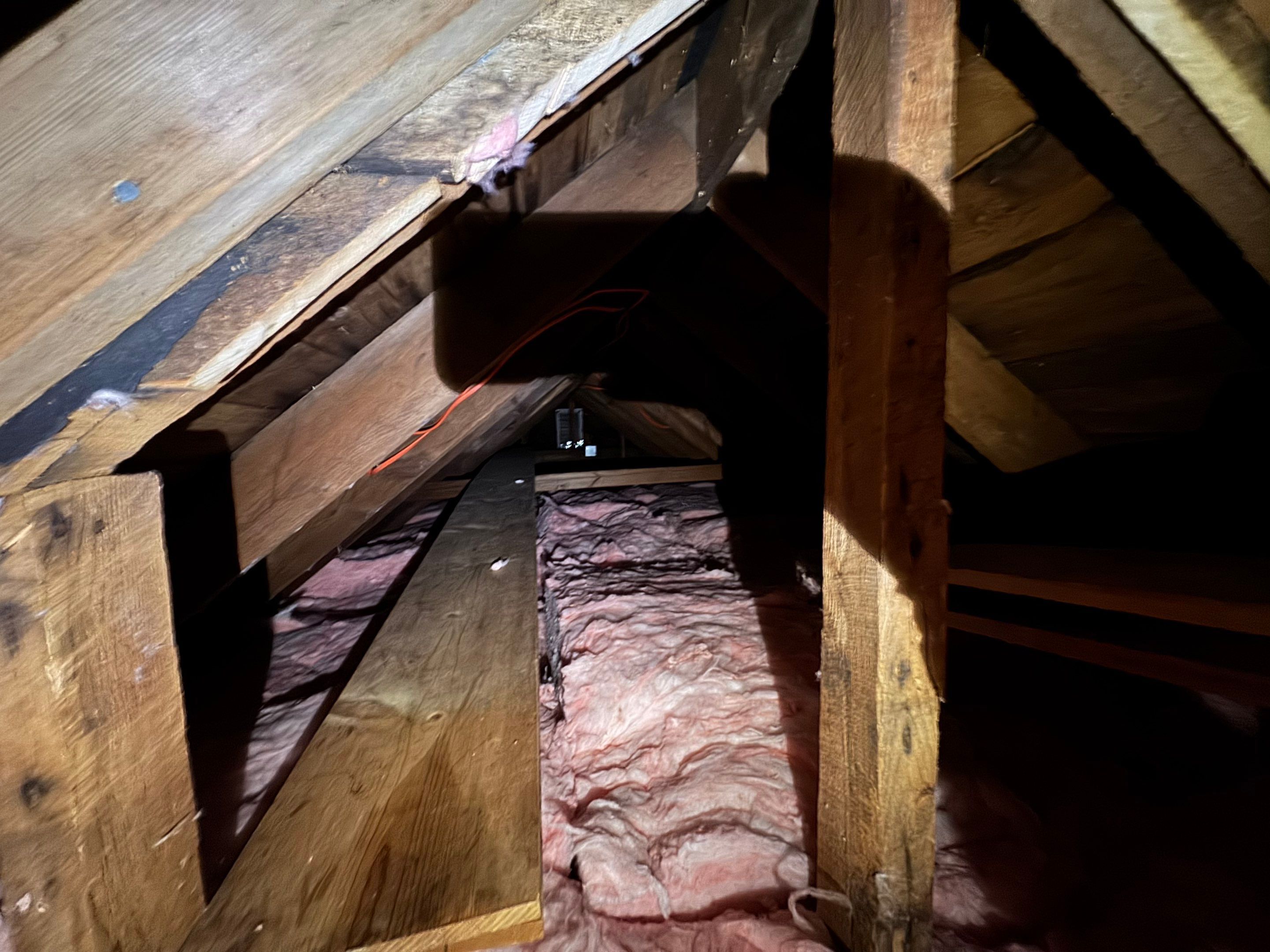 Attic Mold Remediation using Home Guarantee by Home Guarantee, LLC