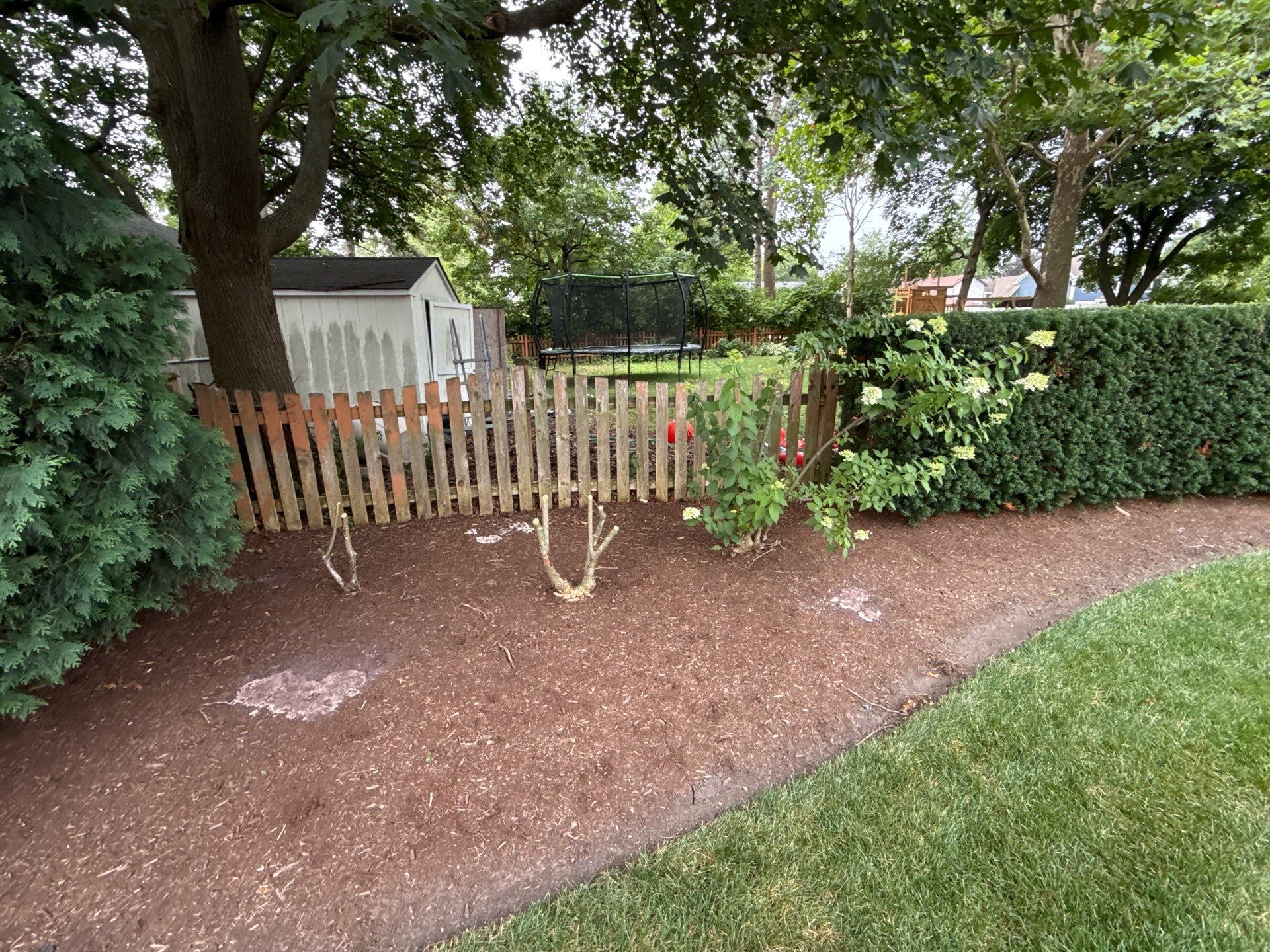 Scott M. - Arlington Heights, IL by A&N