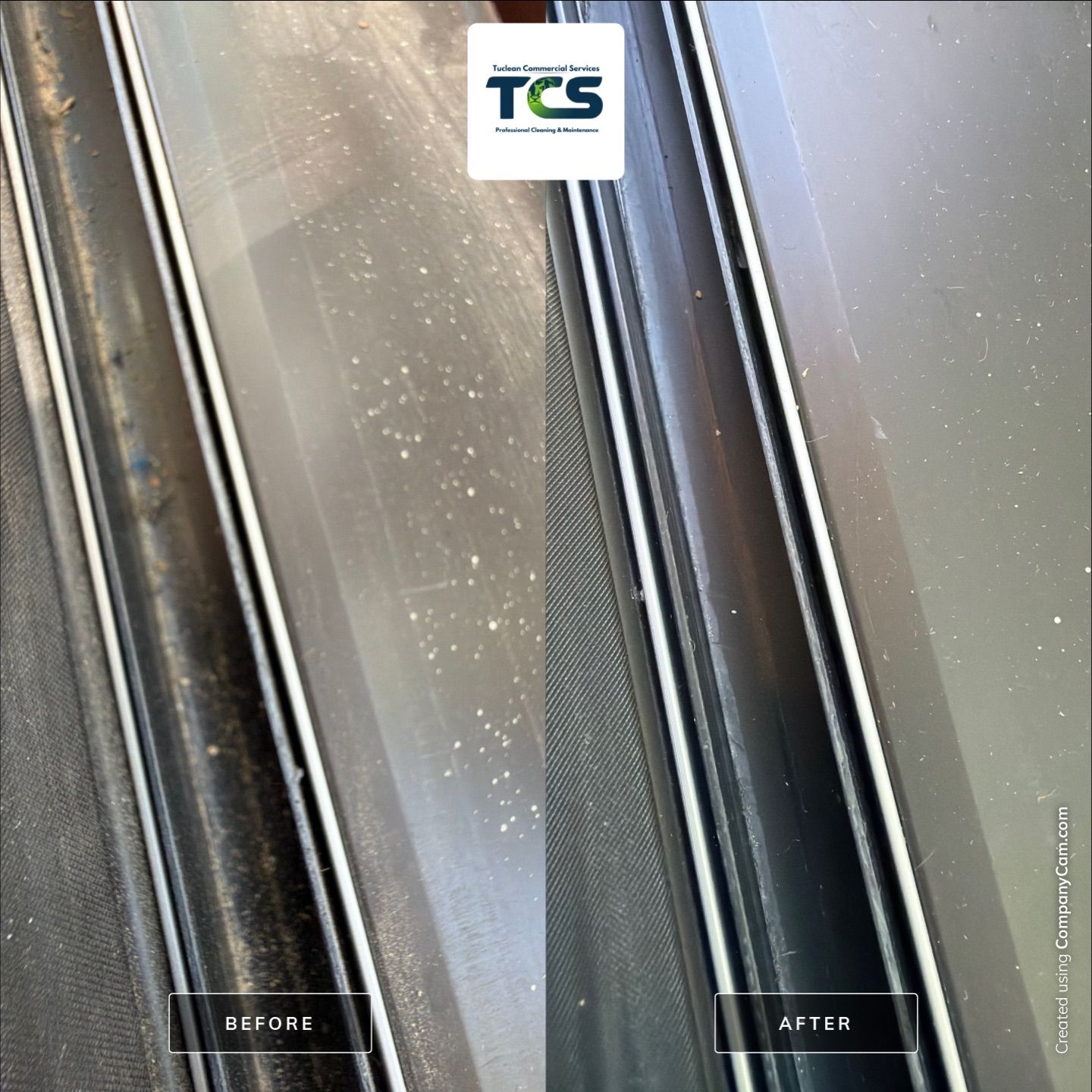Project in Albany by Tuclean Commercial Services 