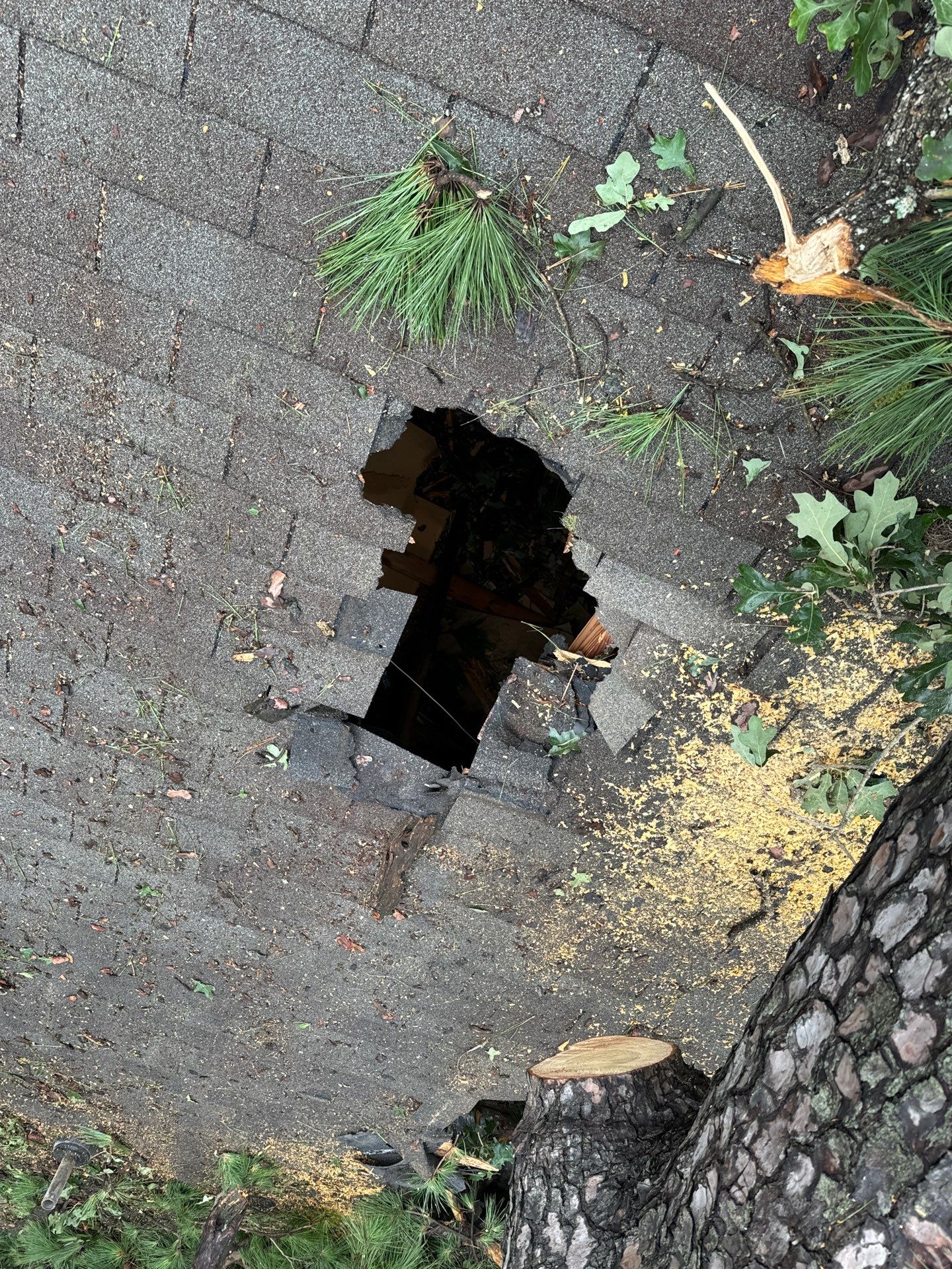 Residential Roofing Repair using Owen's Corning Duration (Lifetime) Shingles by Roof Repair Services LLC