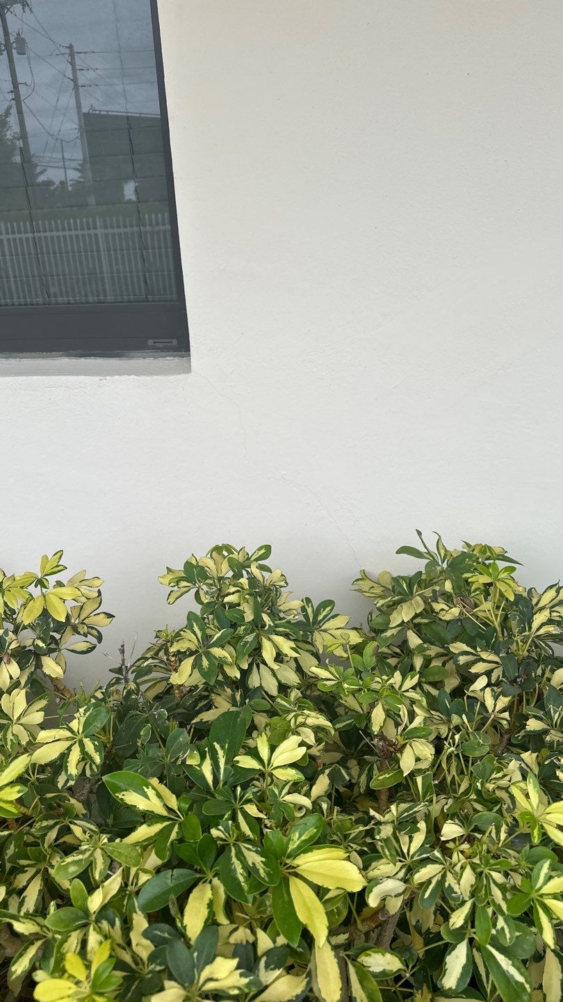 Multifamily Building - Miami - 40 Year Inspection by Souffront Construction & Engineering