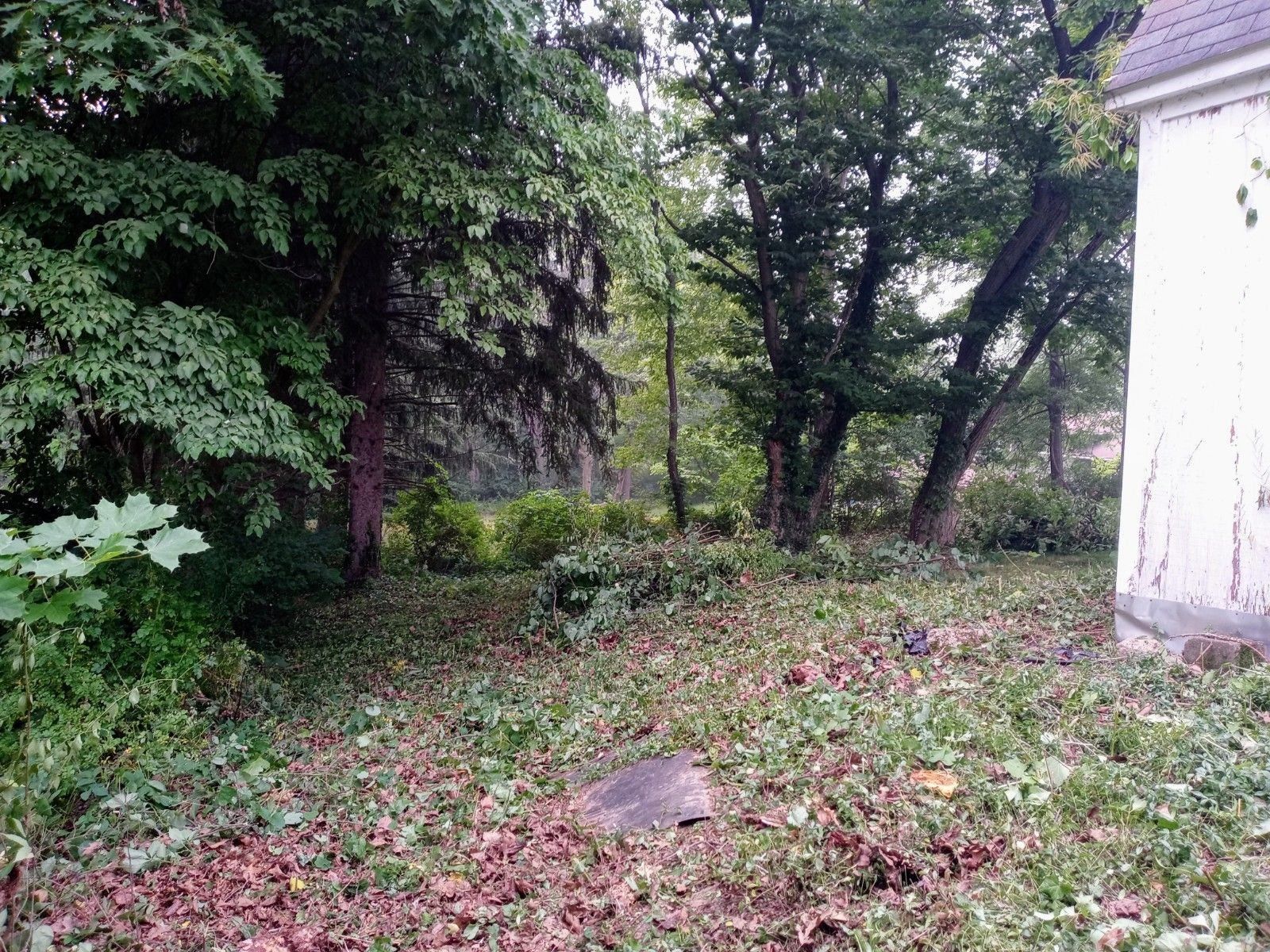 Tree Removal using Tree Removal by Mike Jones & Sons Tree Service LLC 