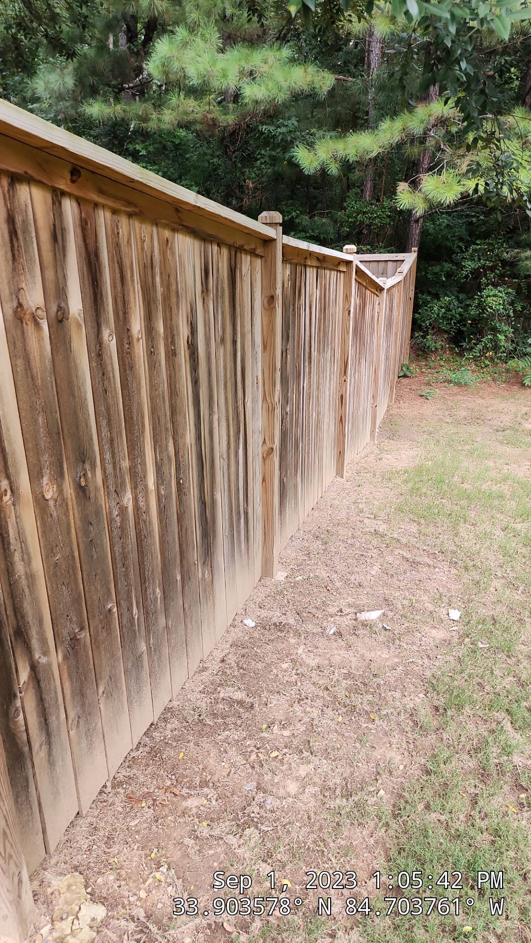 Fence Staining using Pecan by SSE by Titans of Timber Fence & Stain