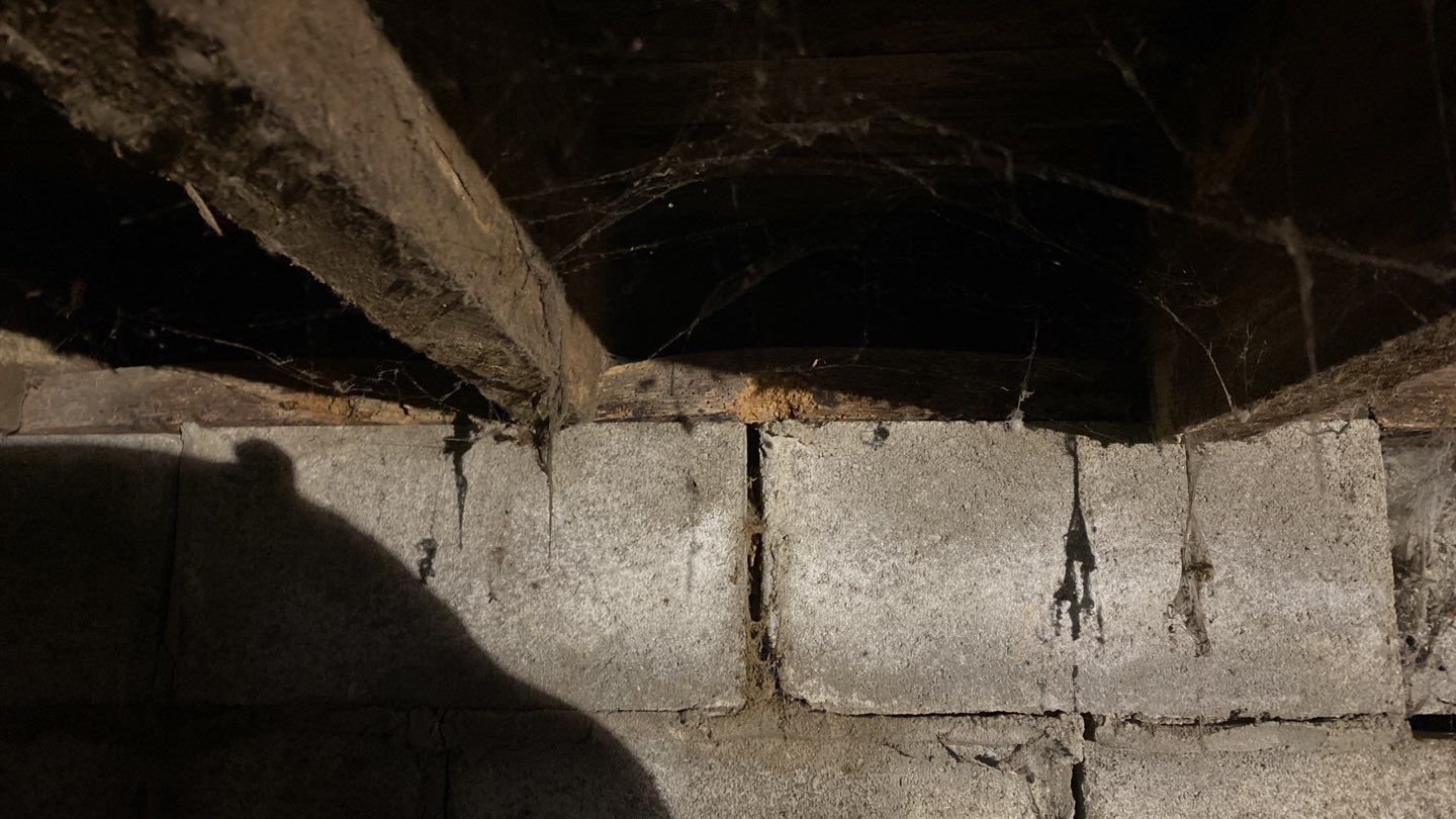 Crawl space encapsulation and Waterproofing using GrateDrain Waterproofing System by Toledo Basement Repair 