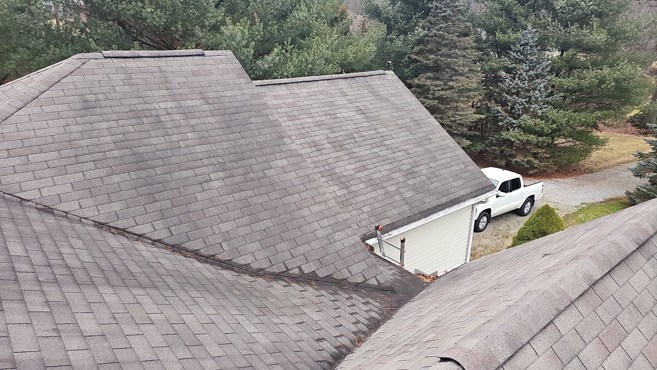 Alpha Rib, Color: Forest Green by Eagle Eye Roofing