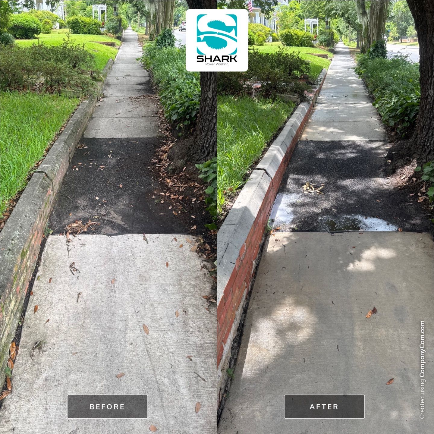 House washing in Wilmington by Shark Power Washing