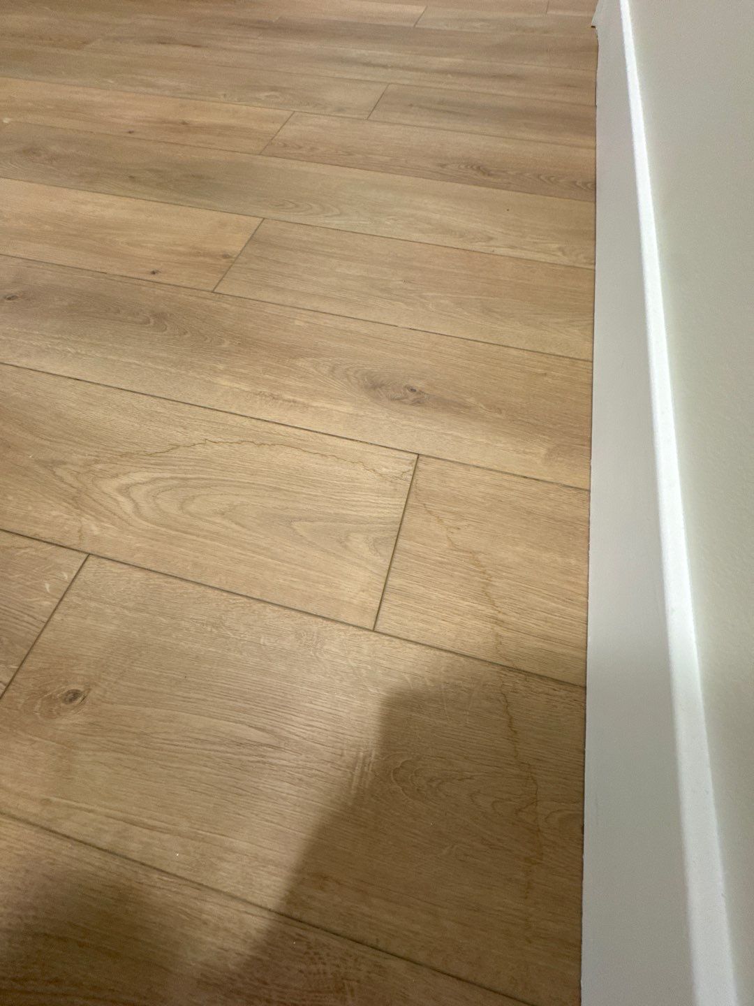 Project in Commerce Twp by EzDry Water Mitigation & Property Restoration