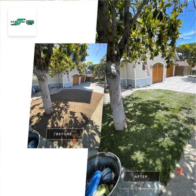 Project in Redwood City