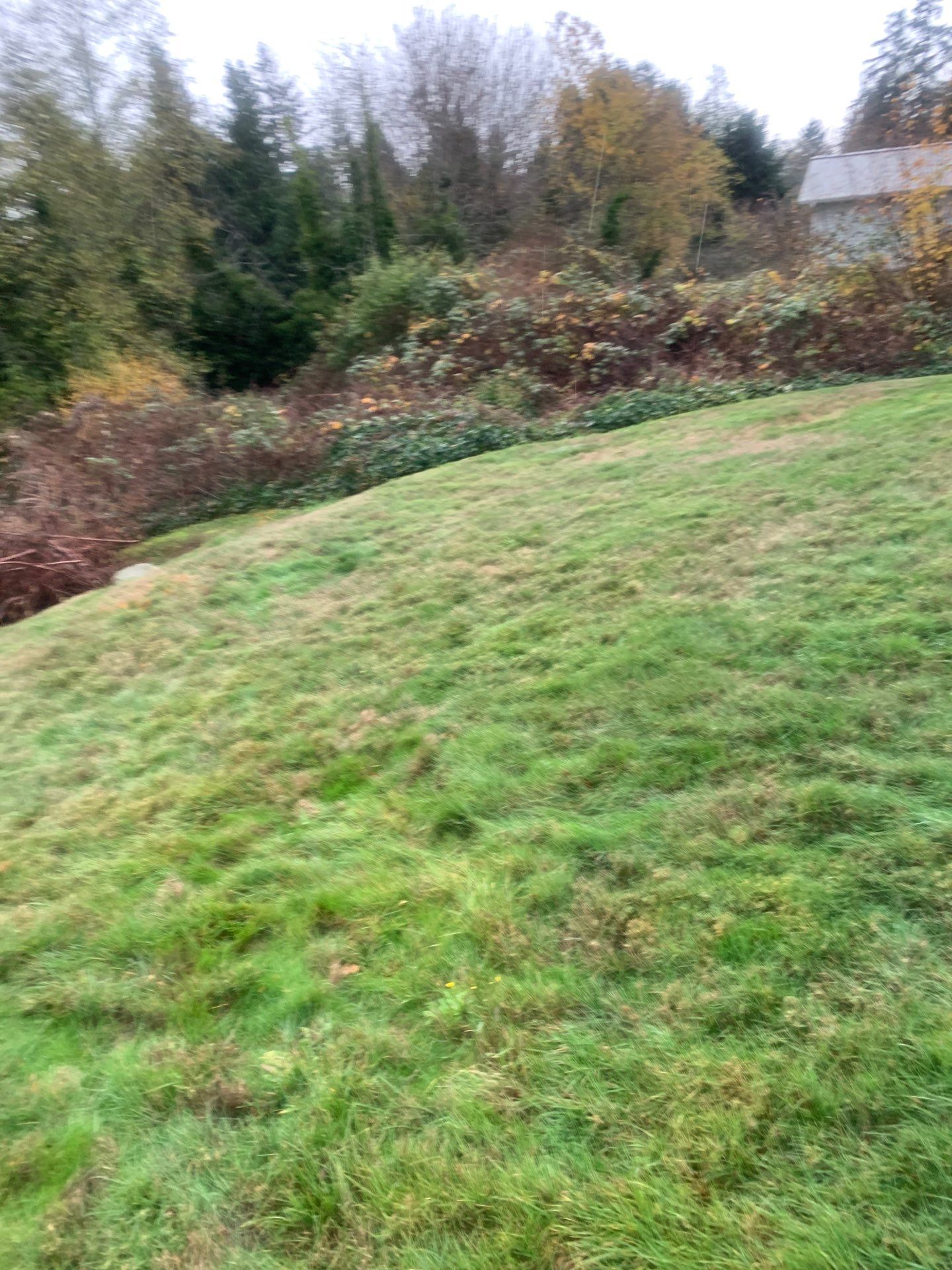 Sport Court |  Port Orchard by Jireh Asphalt & Concrete Inc 