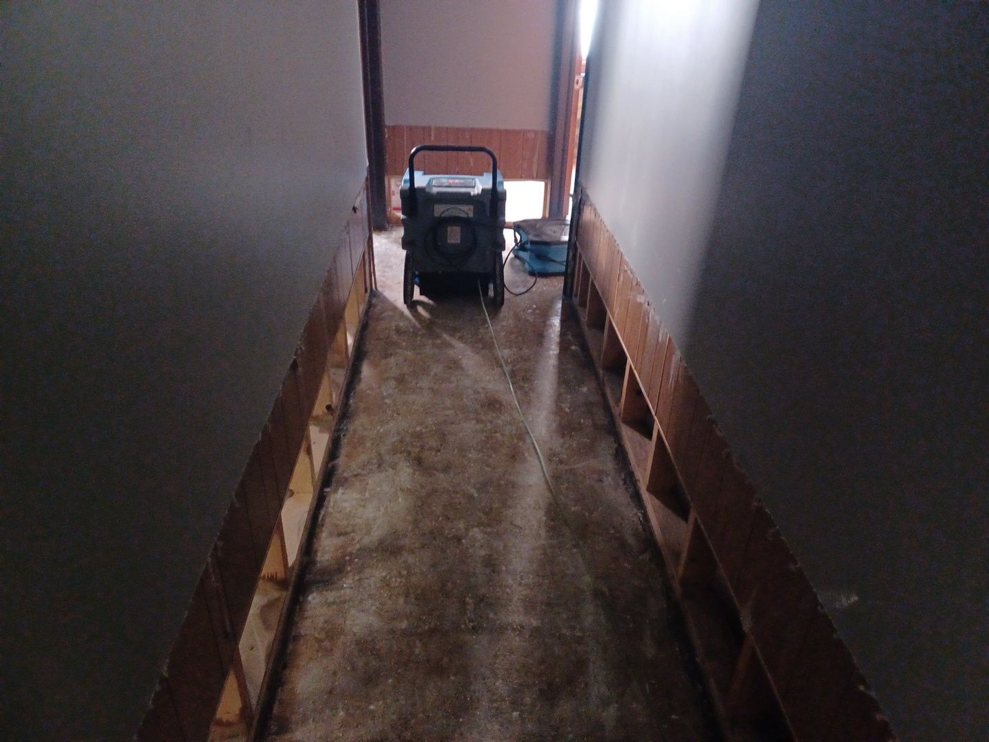 Project in Royal Oak by EzDry Water Mitigation & Property Restoration