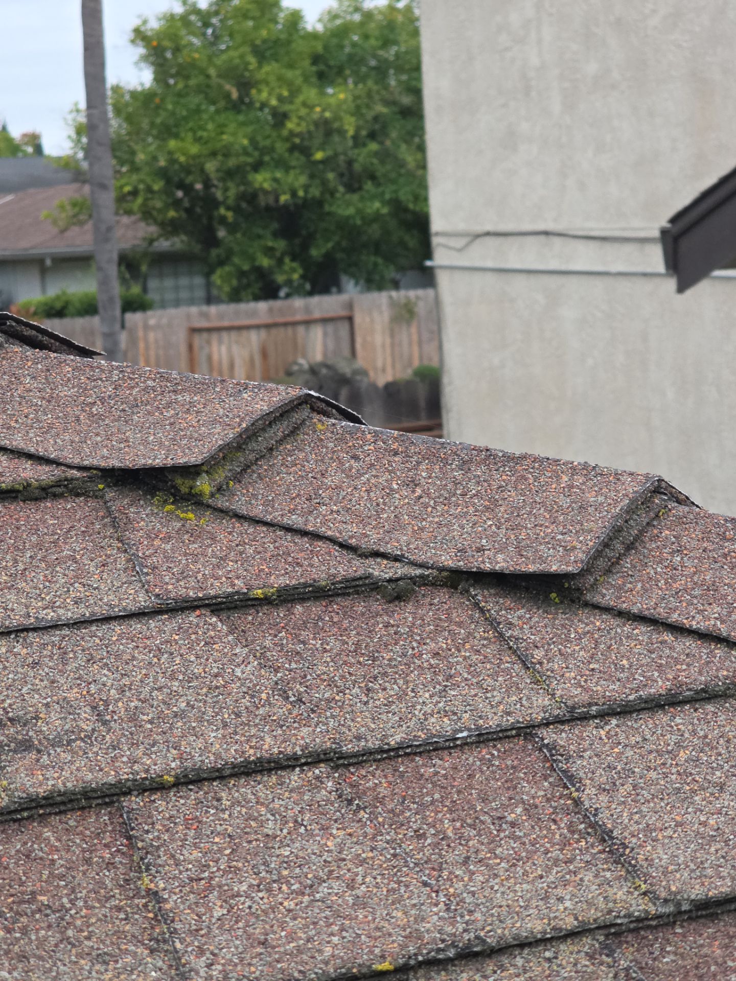 Roof Rejuvenation using Roof Maxx Treatment by Roof Maxx of Folsom